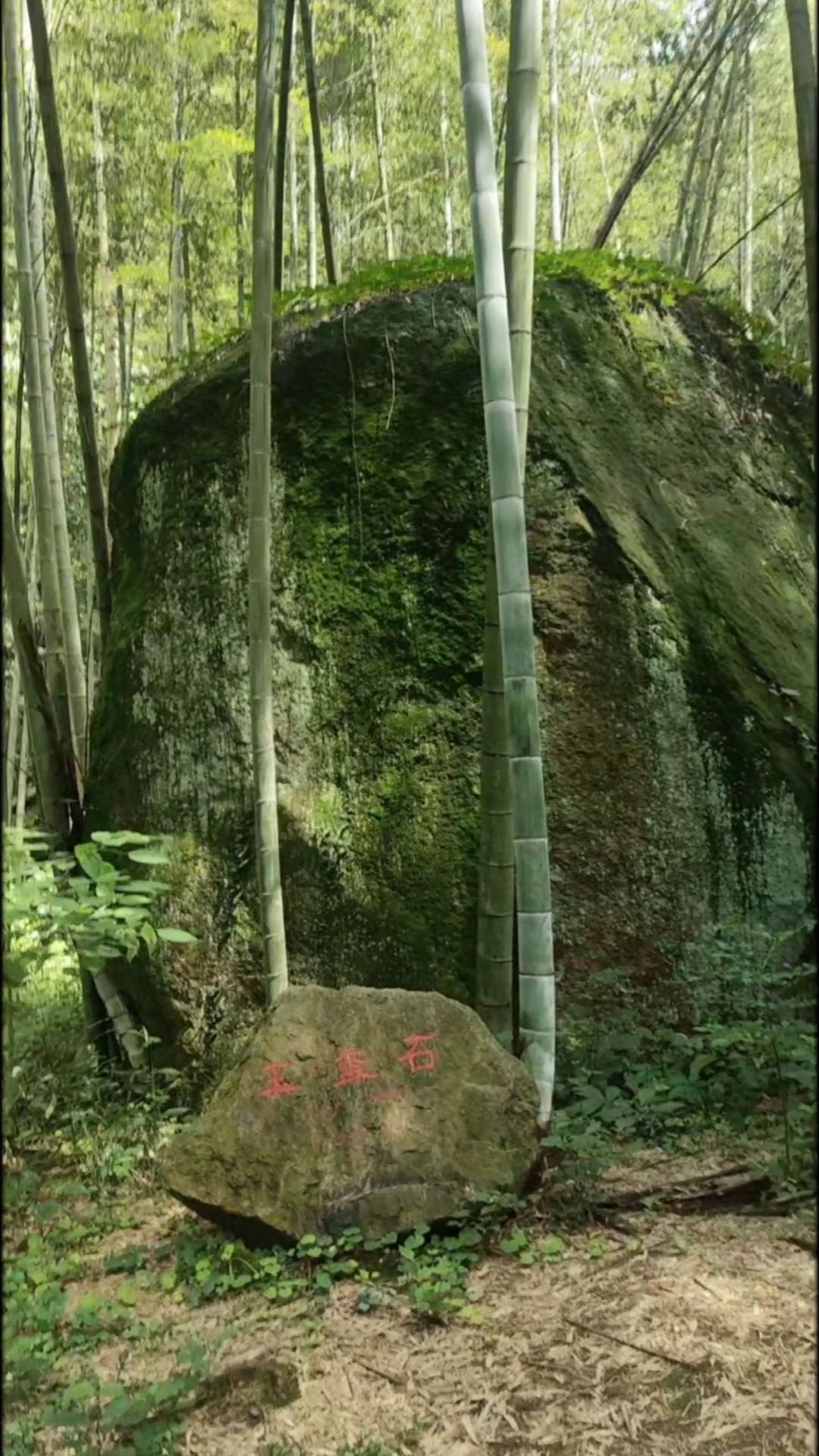龙井沟风景区旅行图片 3