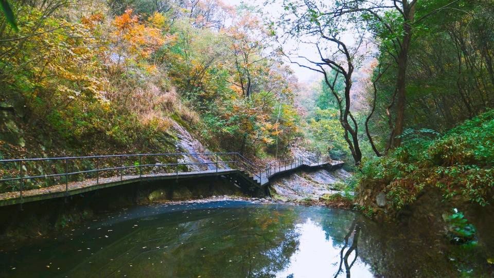 龙井沟风景区旅行图片 1