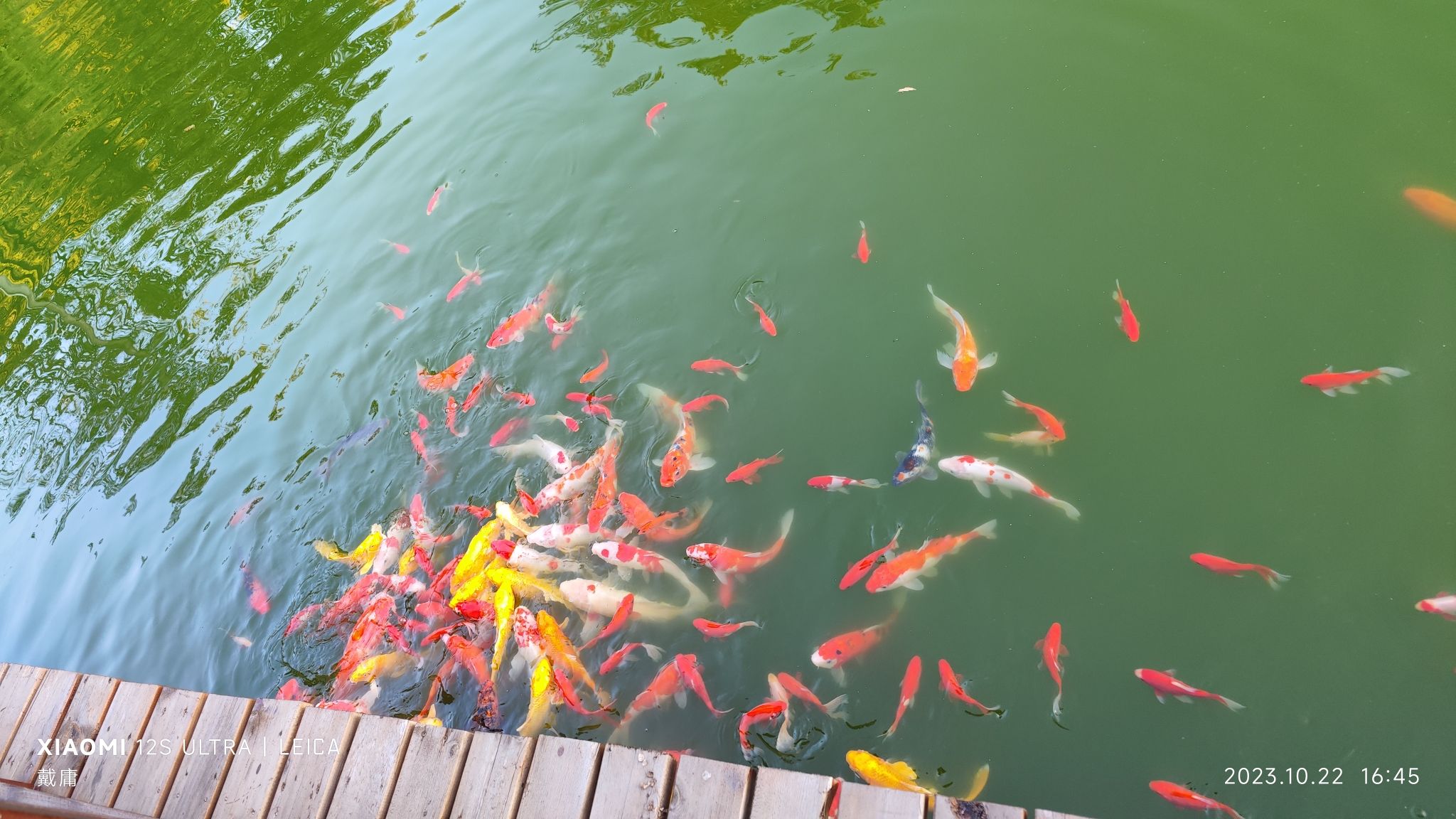 龙井沟风景区旅行图片 2