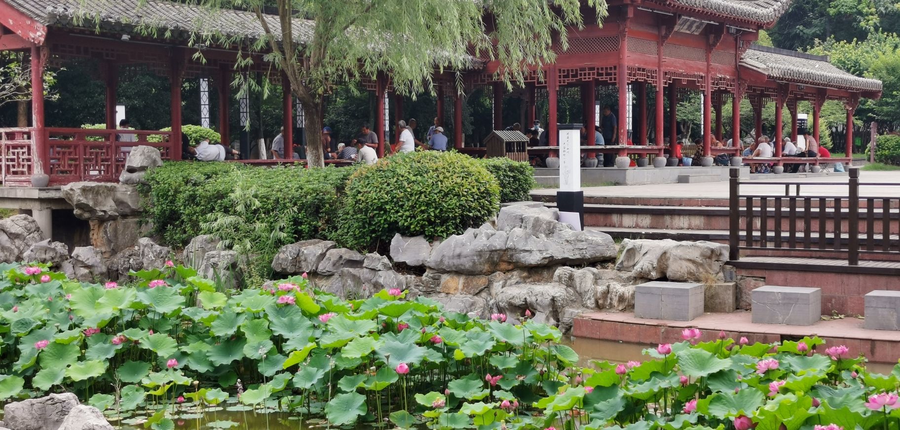 陋室公园旅行图片 1