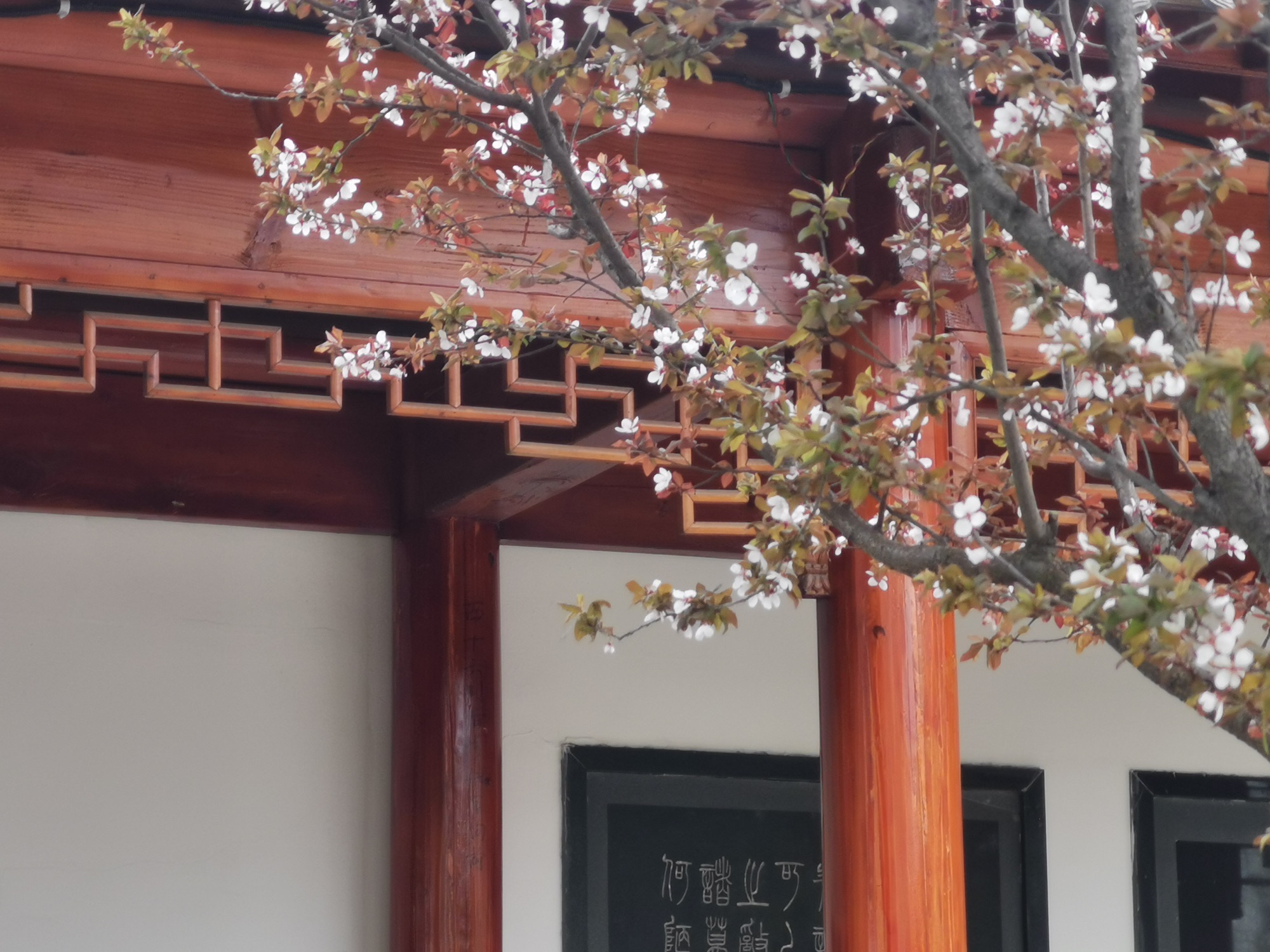 陋室公园旅行图片 3