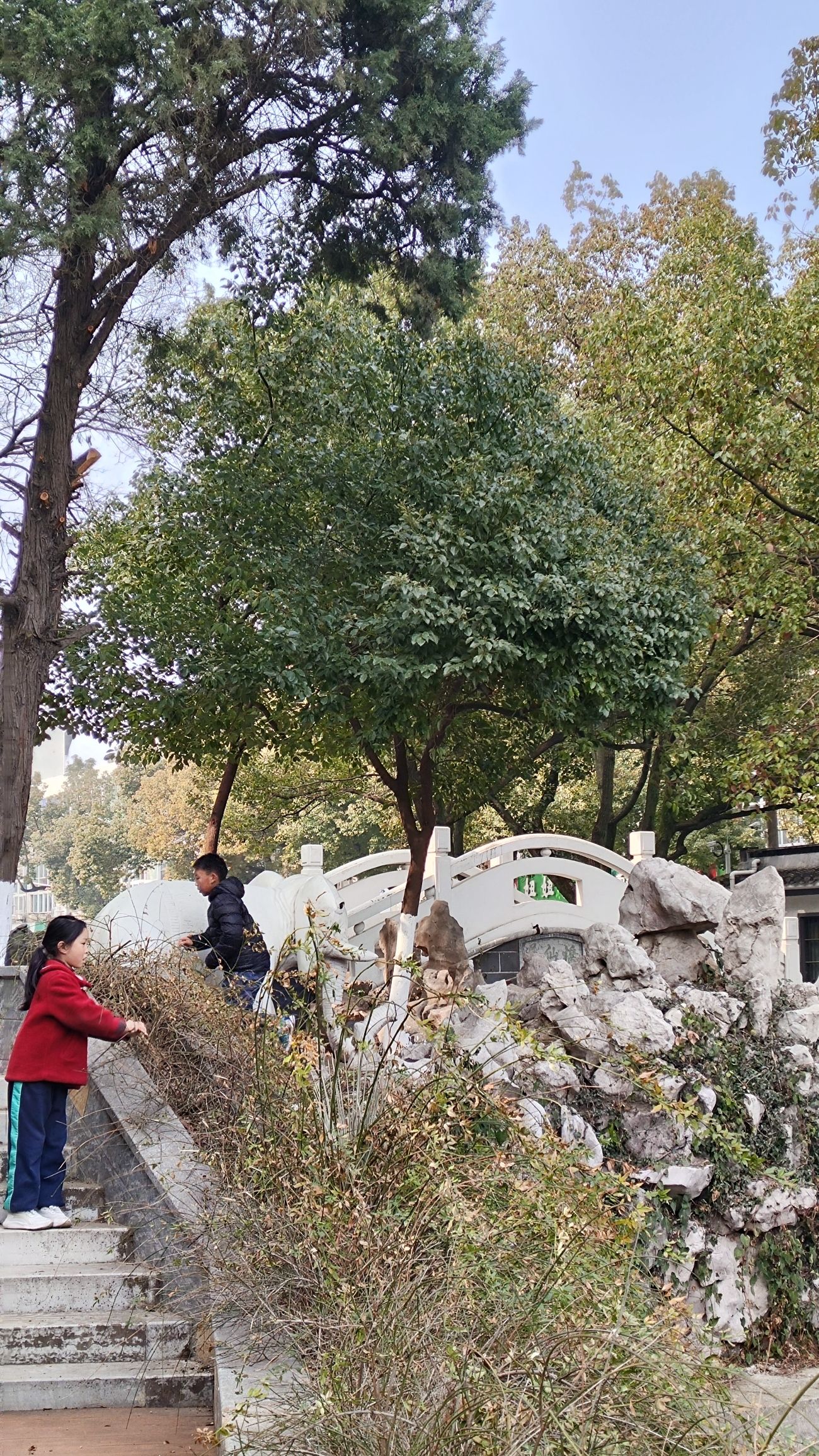 陋室公园旅行图片 1