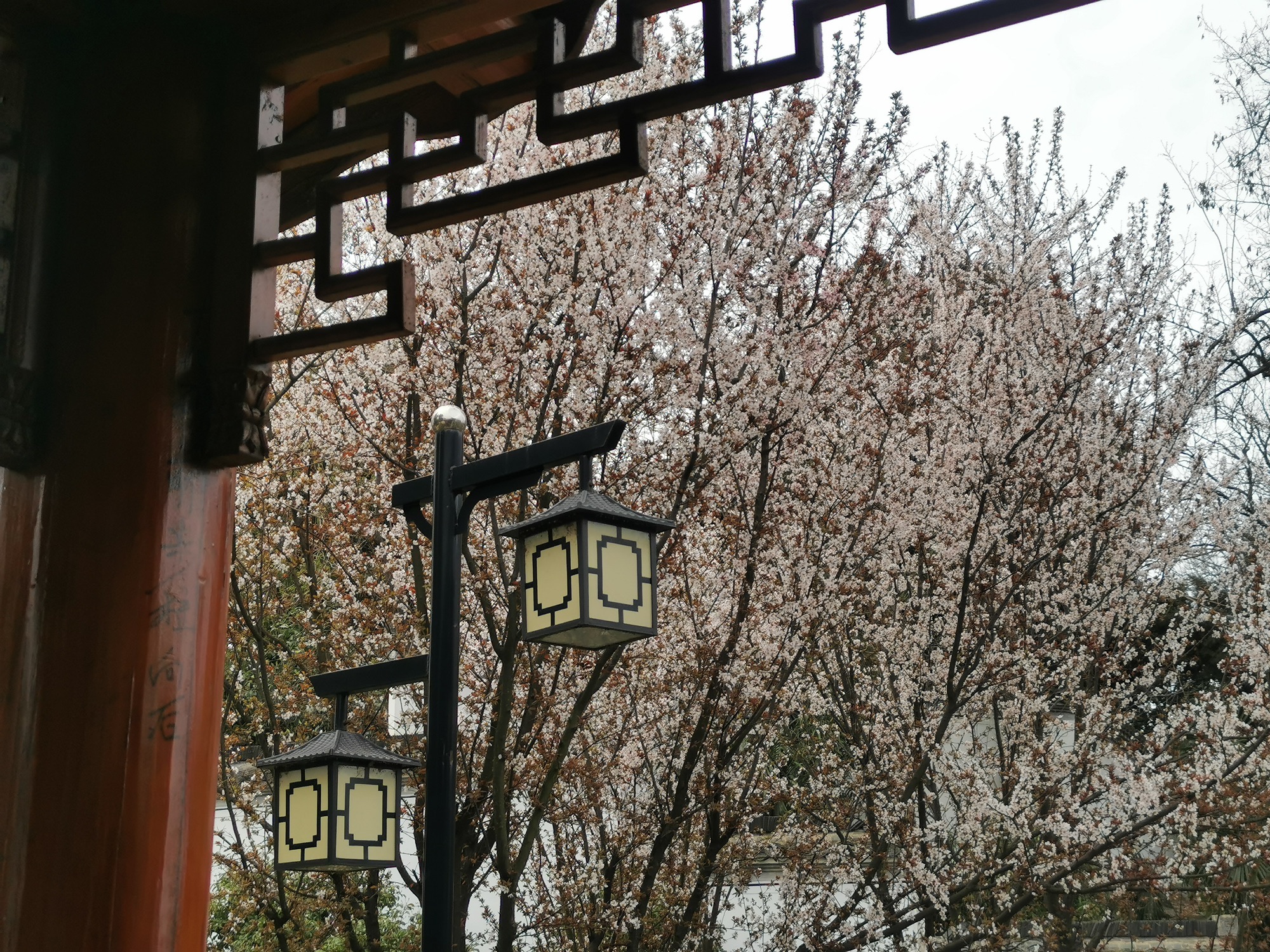 陋室公园旅行图片 2