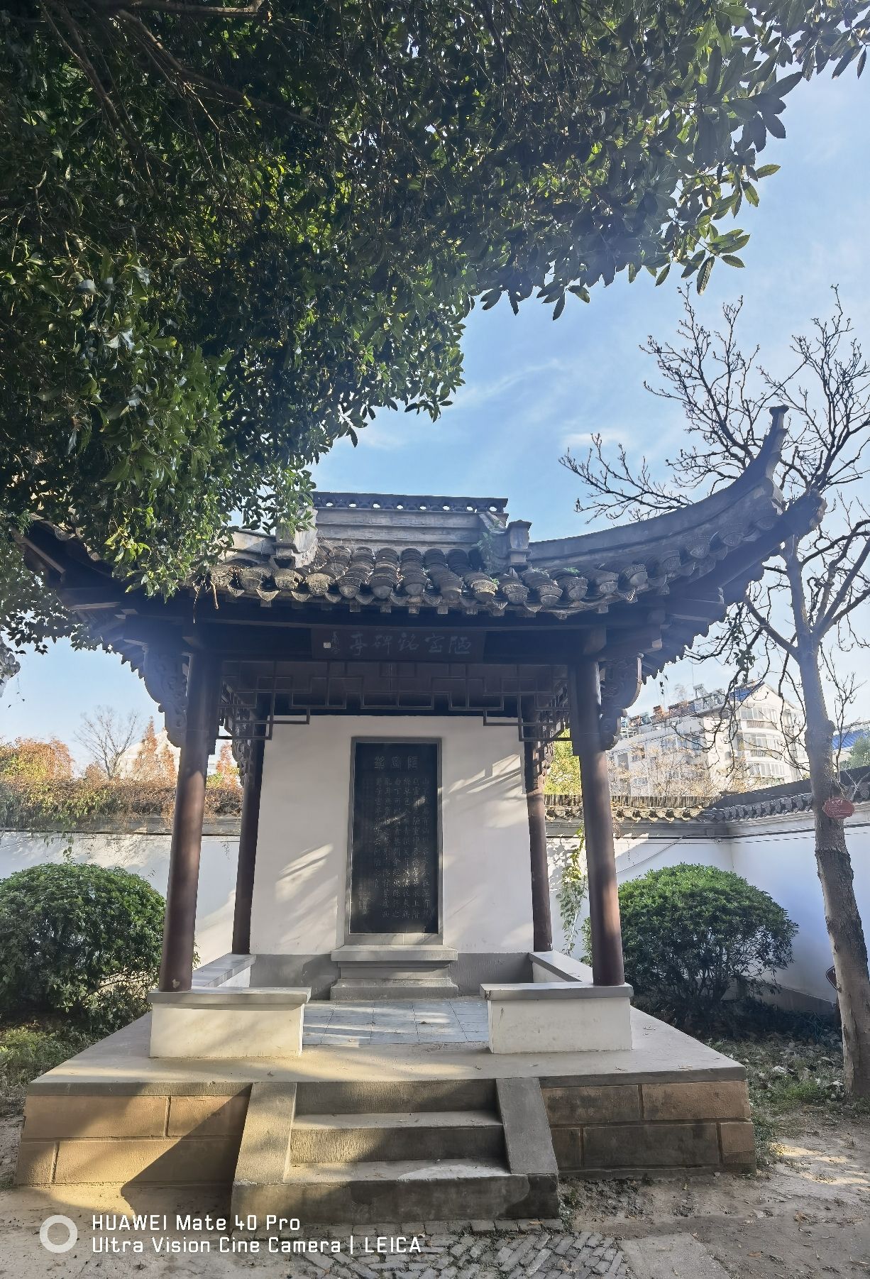 陋室公园旅行图片 2