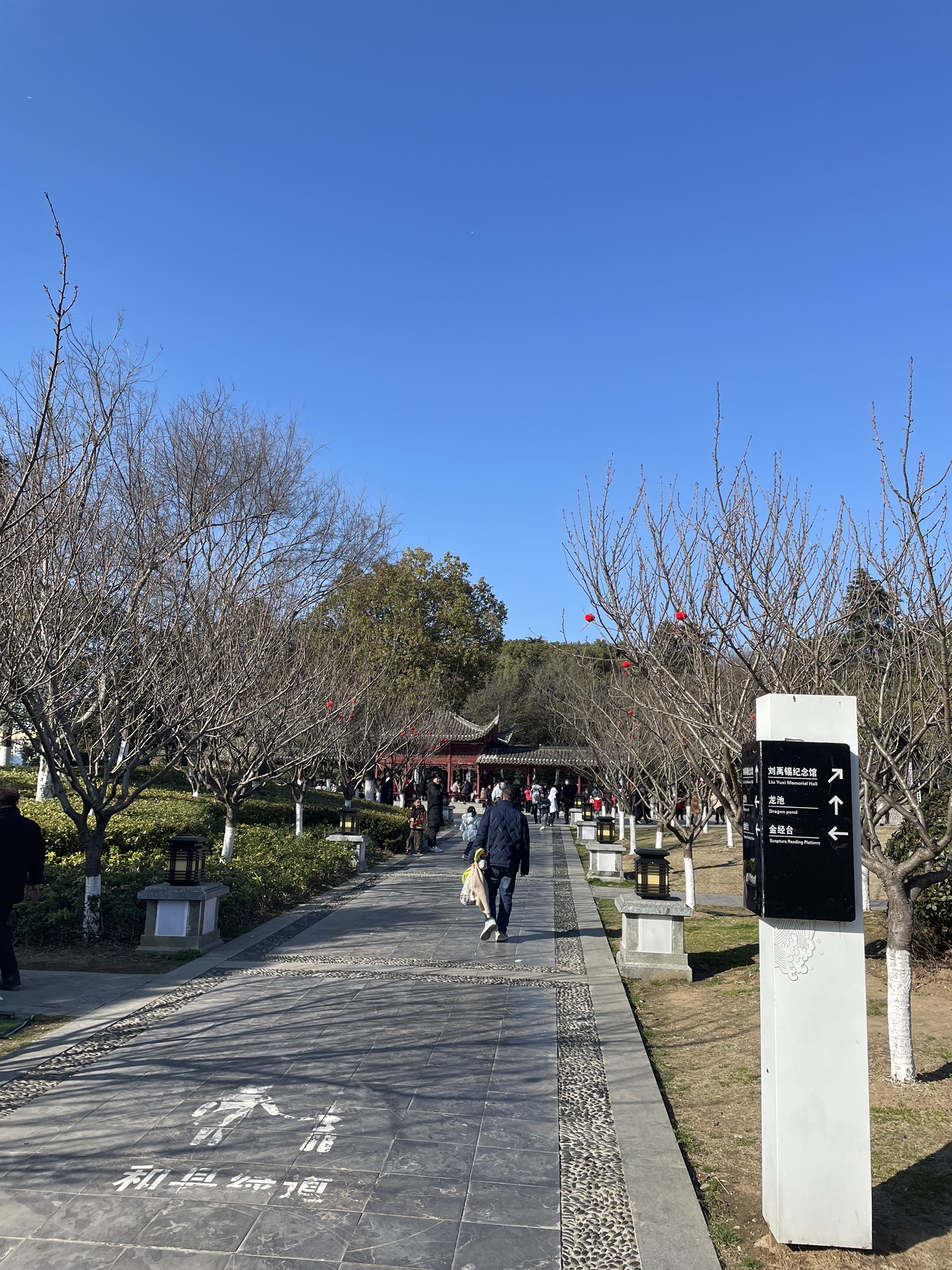 陋室公园旅行图片 1
