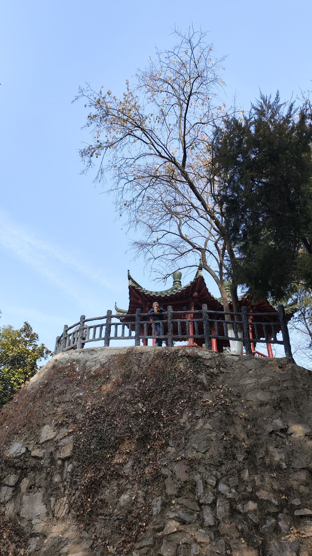 陋室公园旅行图片 2
