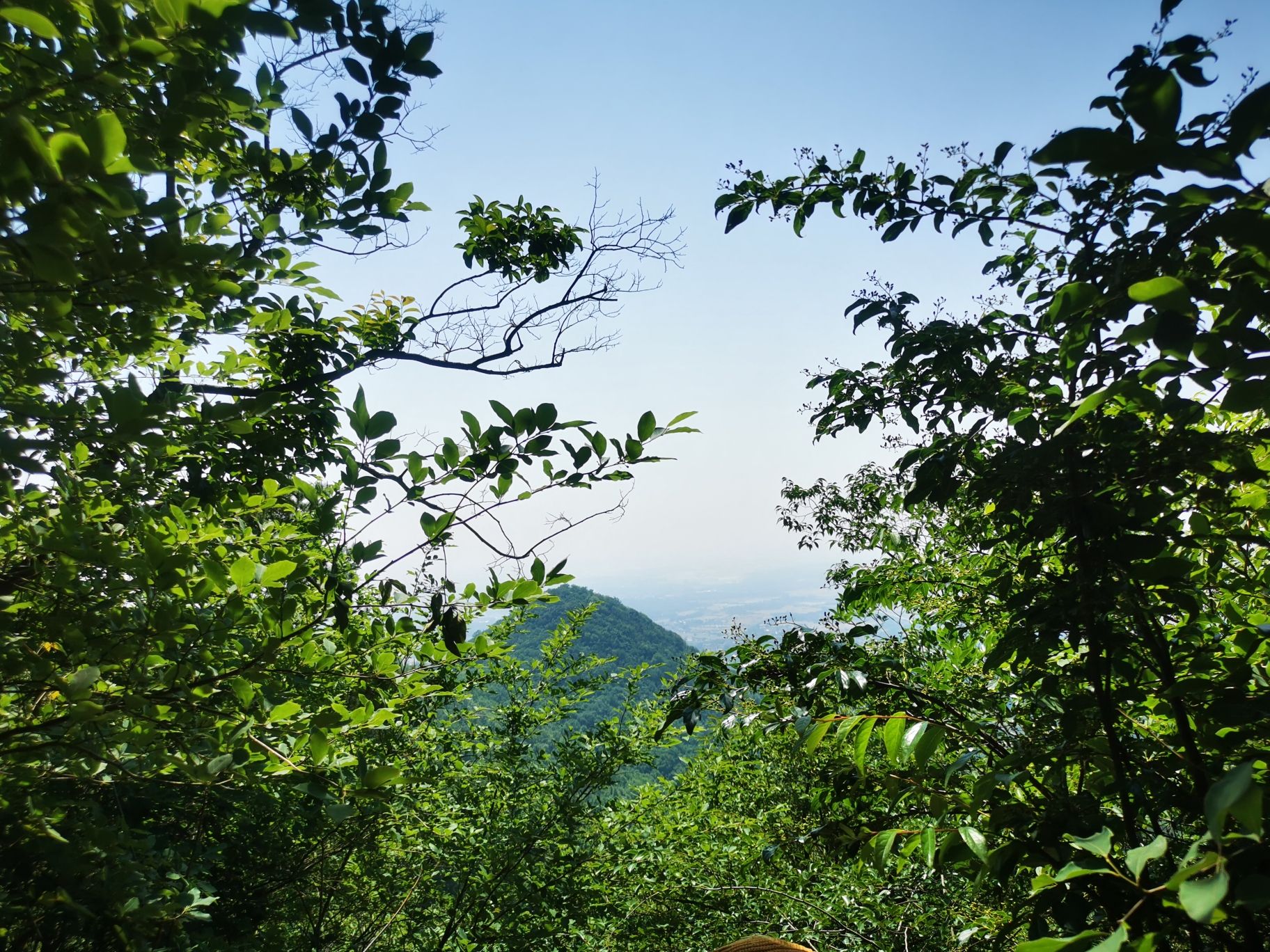 太湖山国家森林公园旅行图片 1