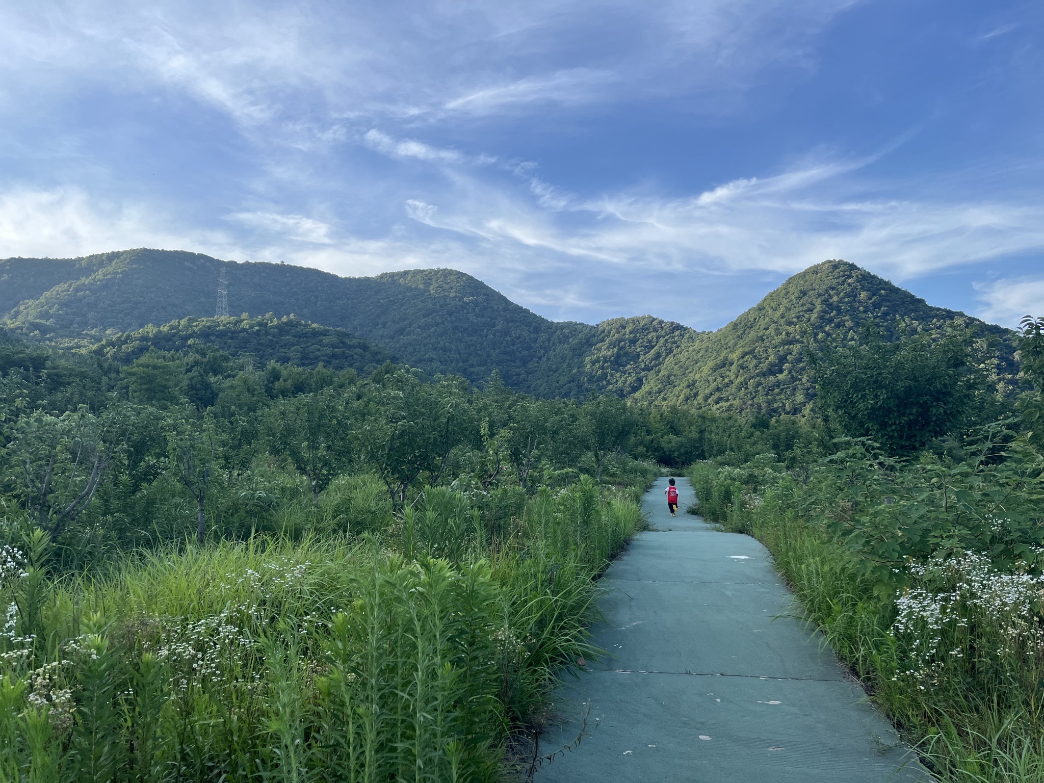 太湖山国家森林公园旅行图片 2