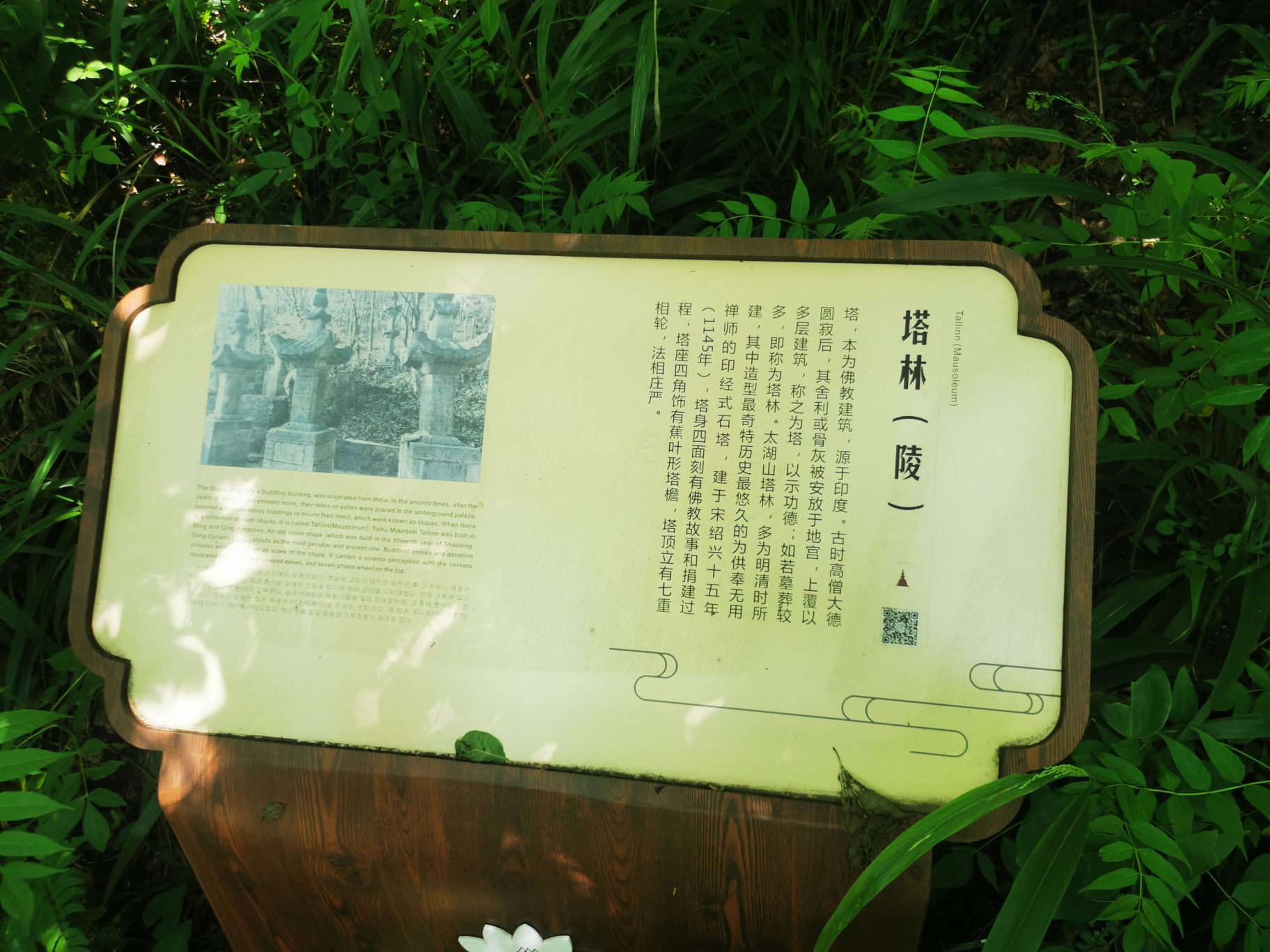 太湖山国家森林公园旅行图片 3