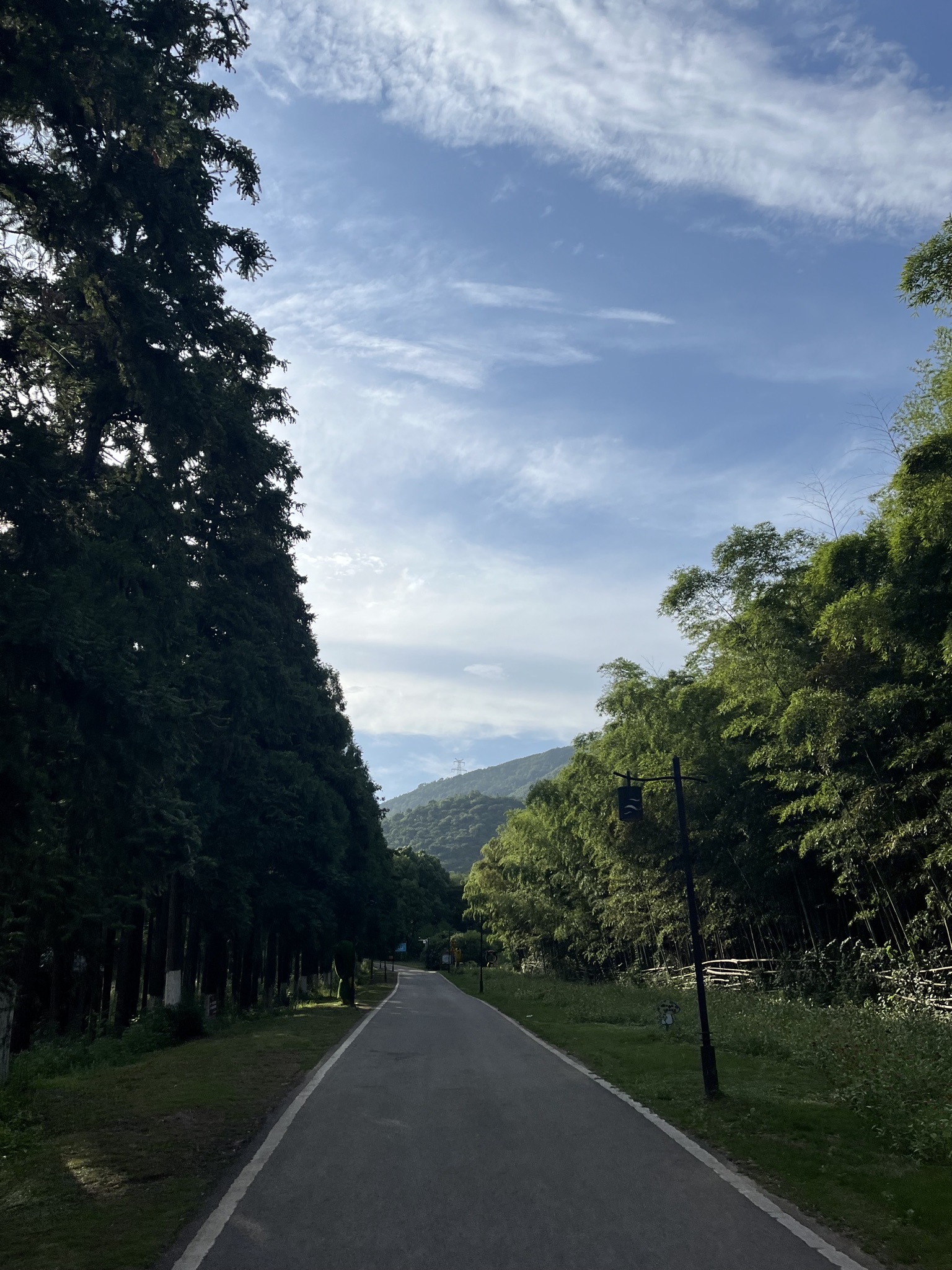 太湖山国家森林公园旅行图片 1