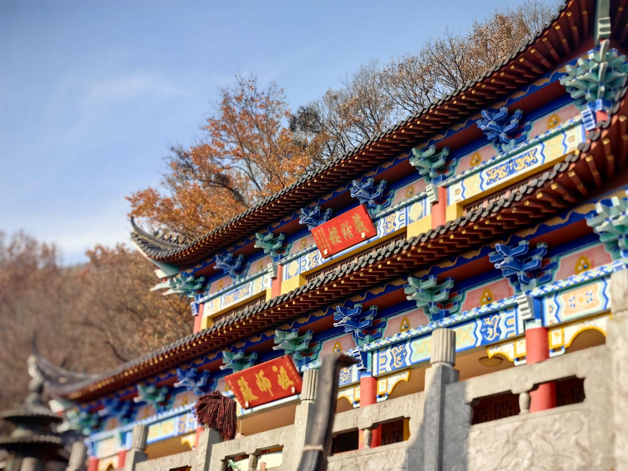 太湖山国家森林公园旅行图片 2