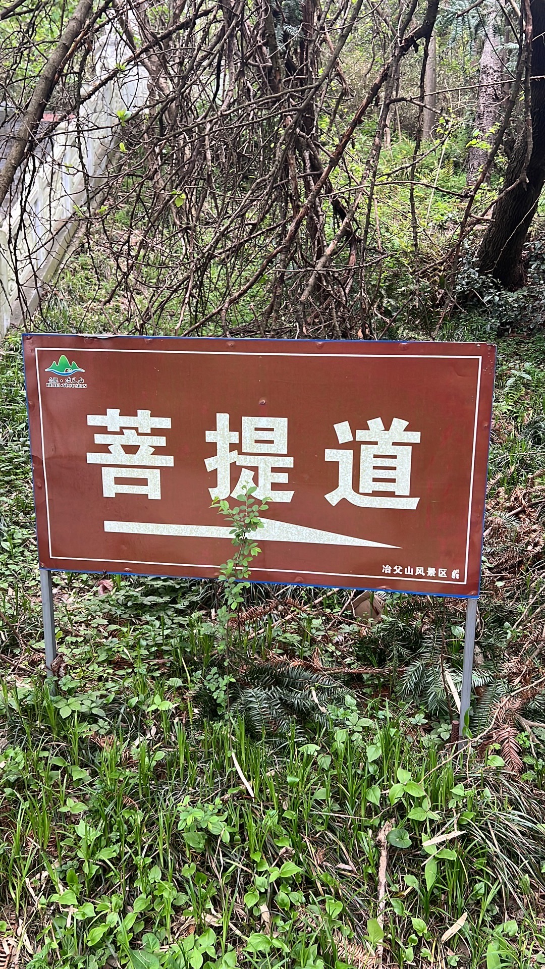 冶父山国家森林公园旅行图片 1