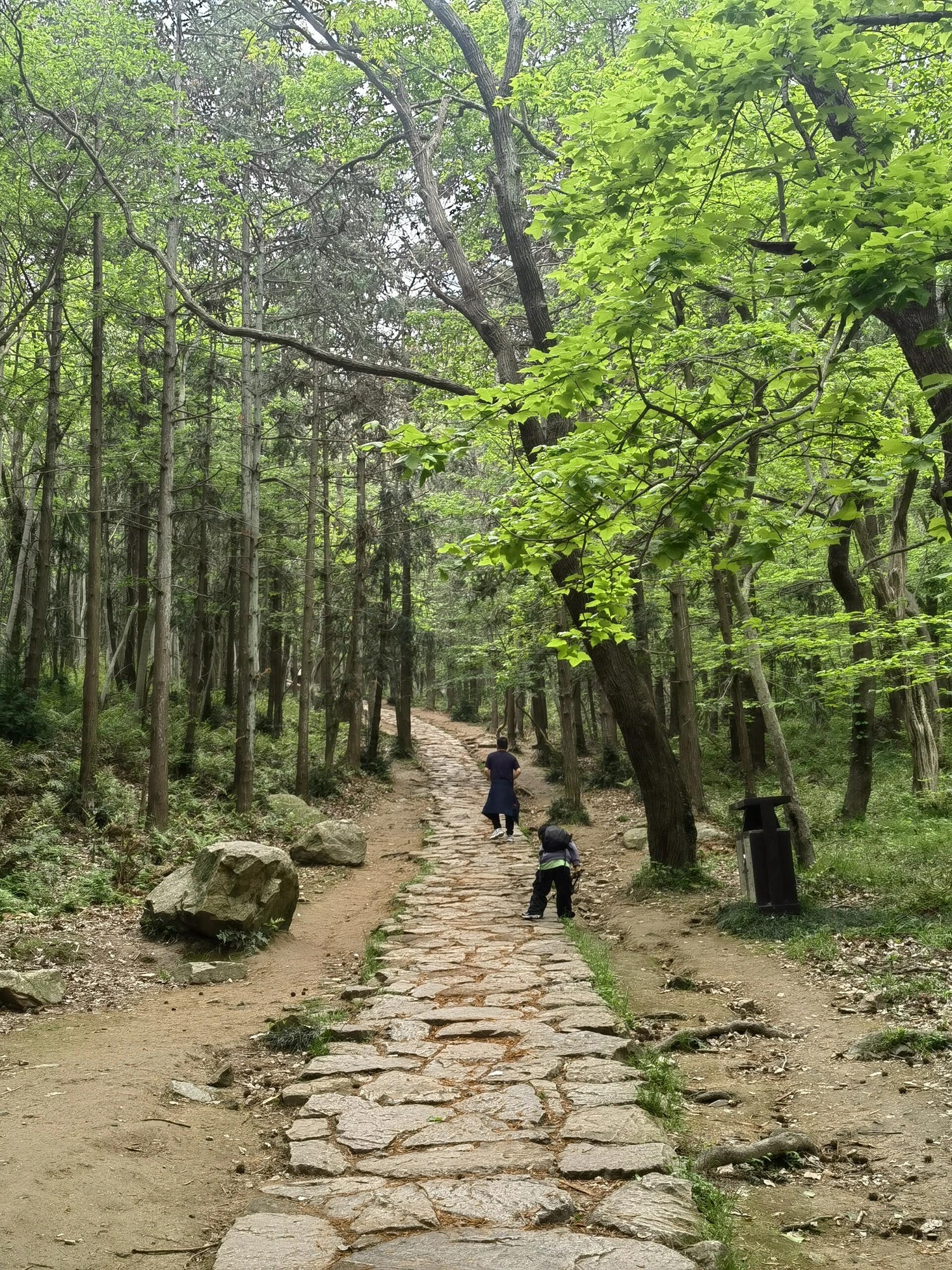 冶父山国家森林公园旅行图片 1