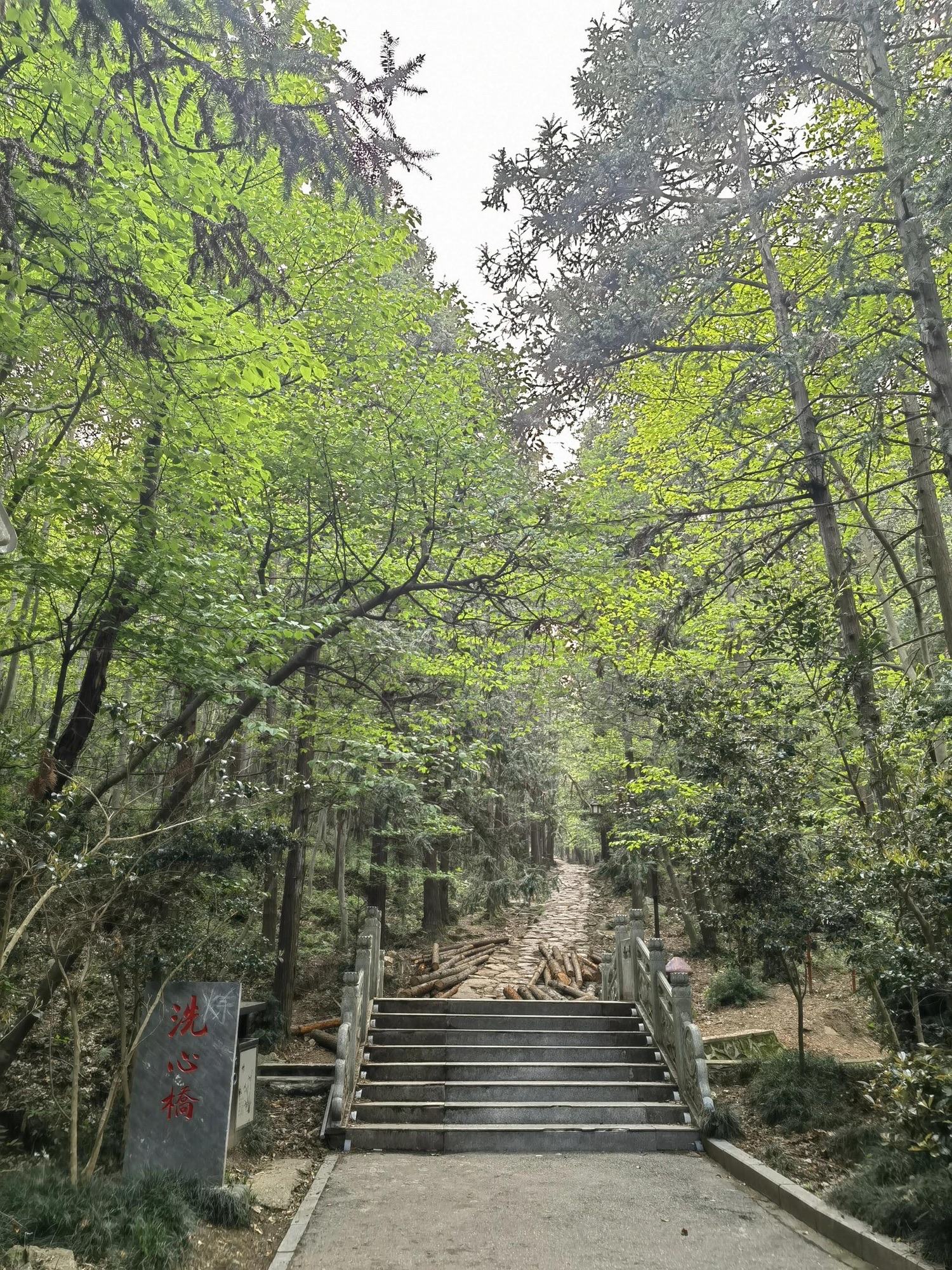 冶父山国家森林公园旅行图片 2