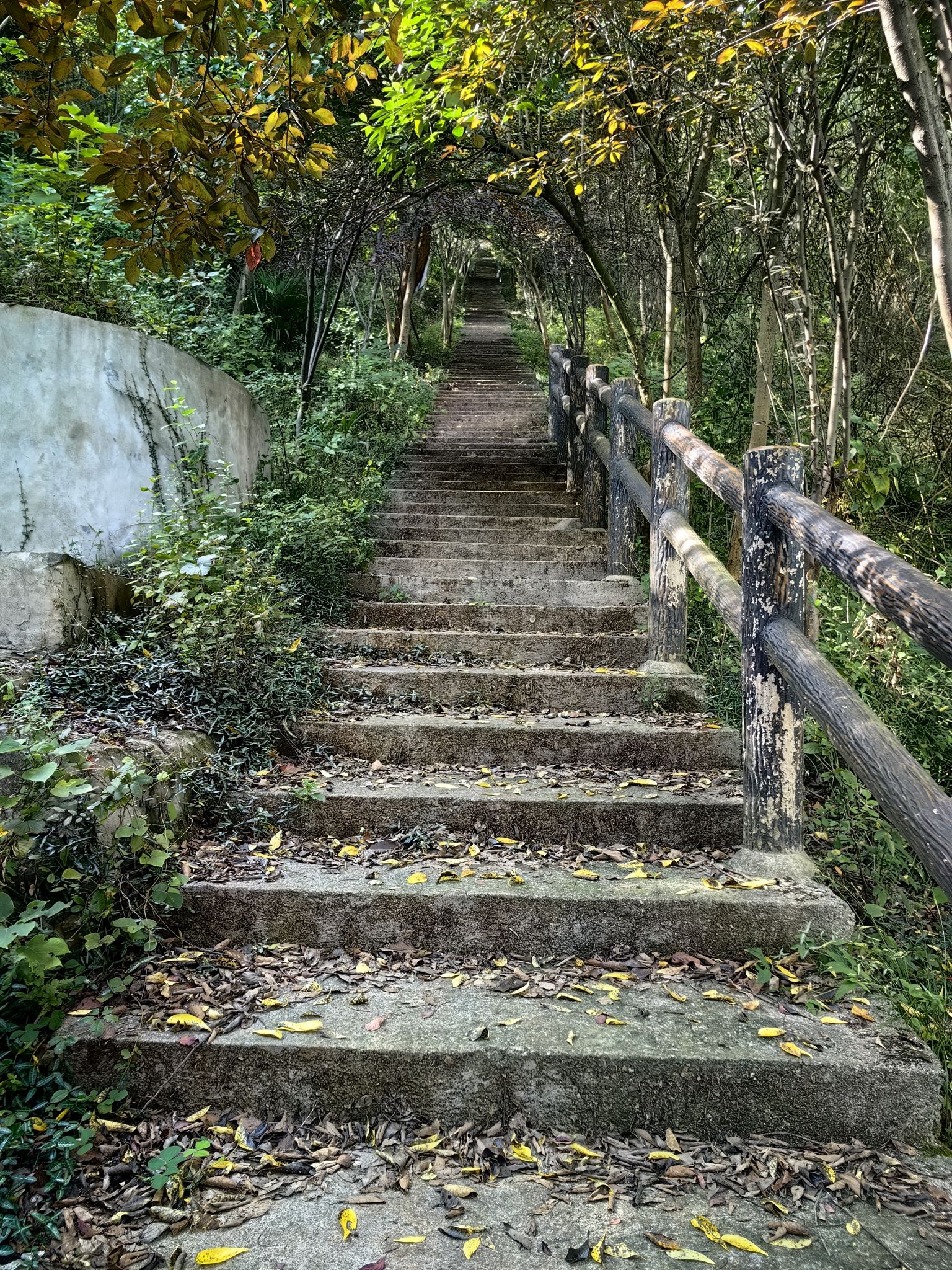泊山洞旅行图片 2