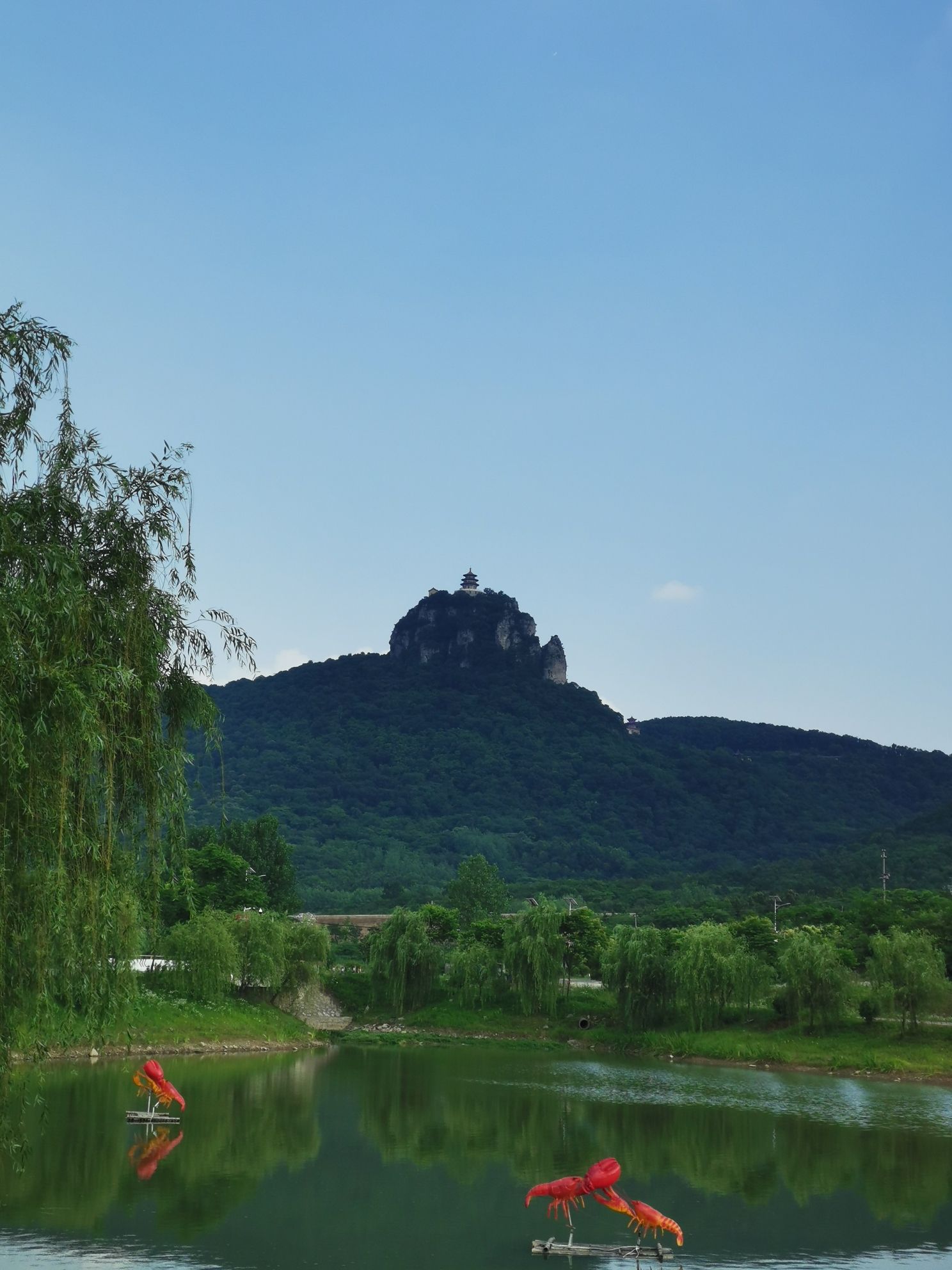 鸡笼山国家森林公园旅行图片 3