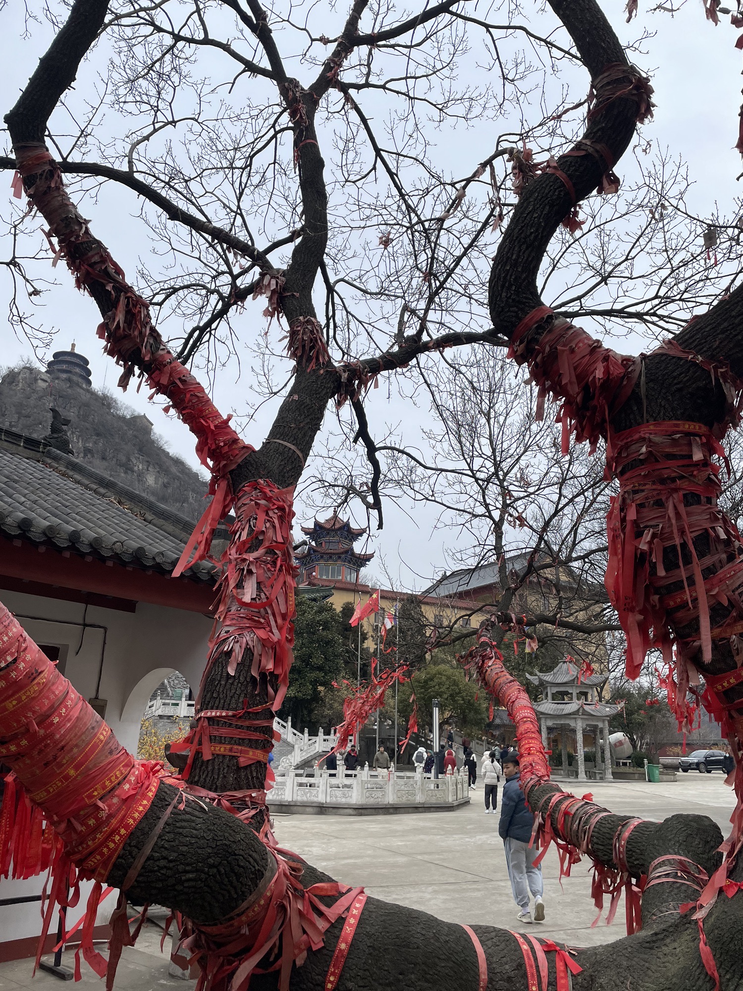 鸡笼山国家森林公园旅行图片 2