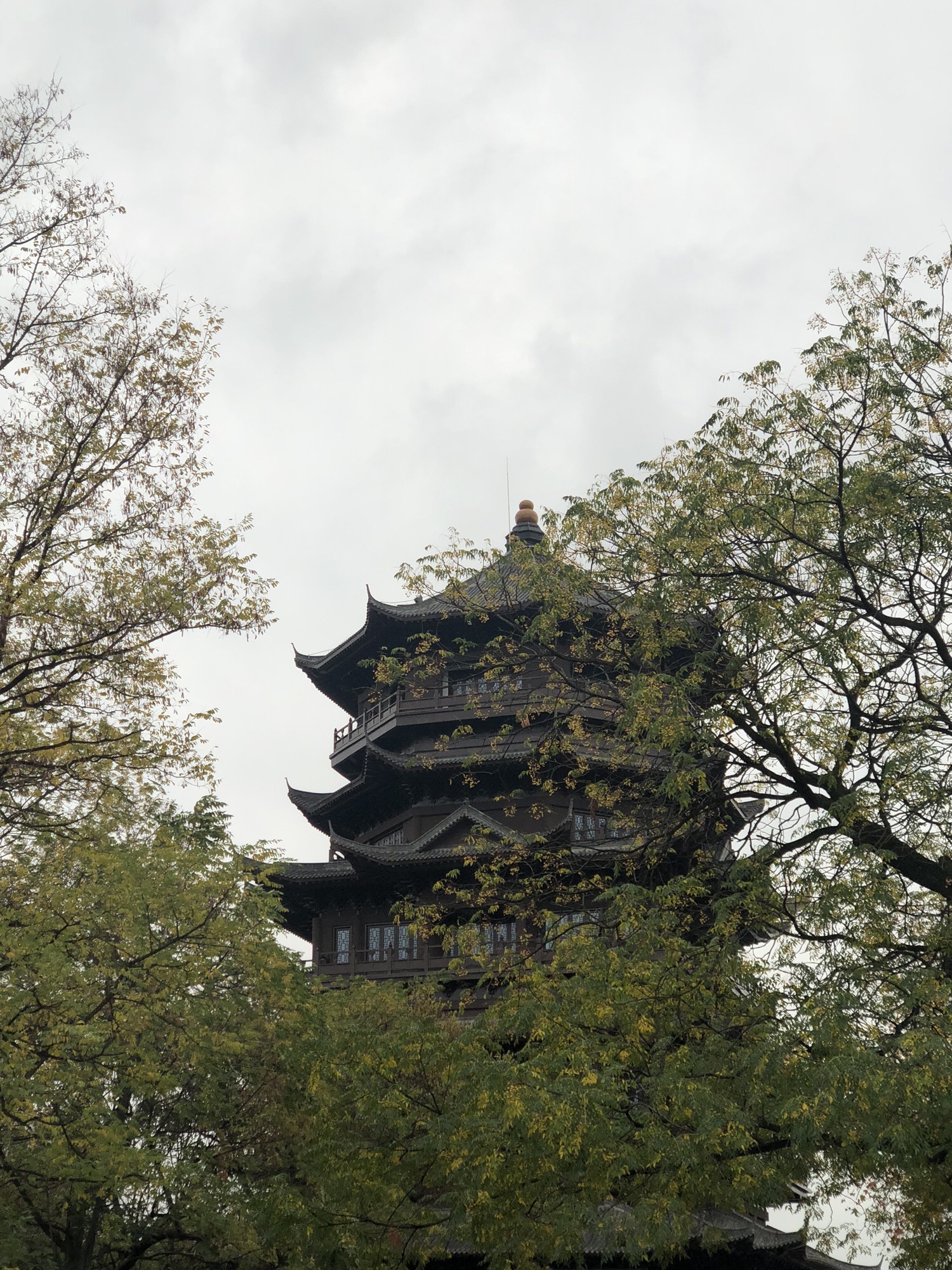 卧牛山公园旅行图片 1