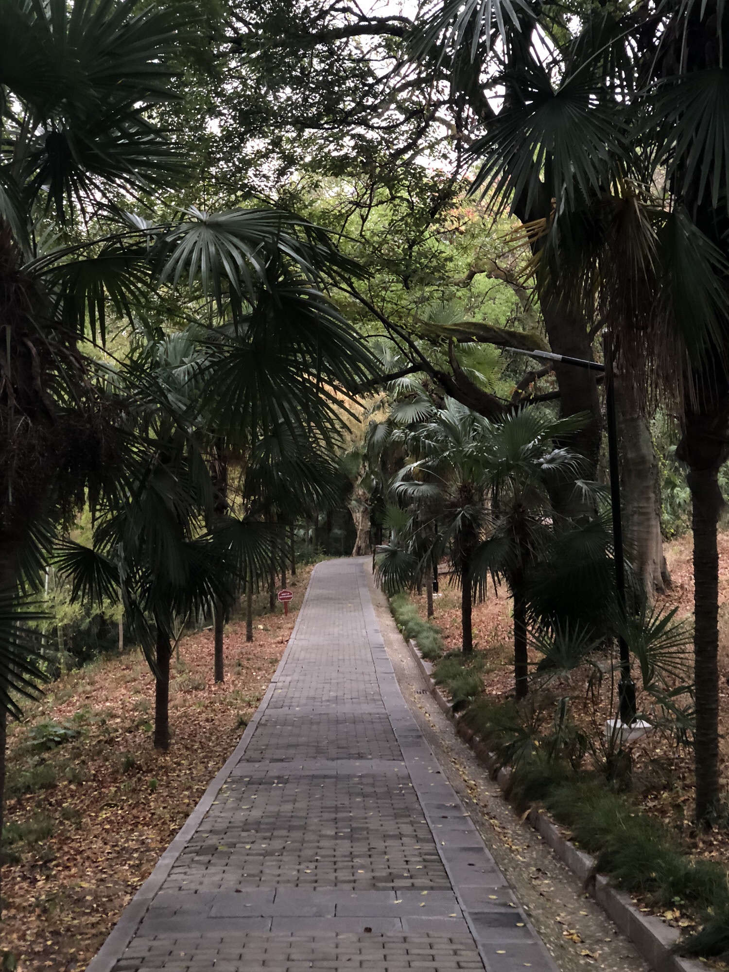 卧牛山公园旅行图片 2