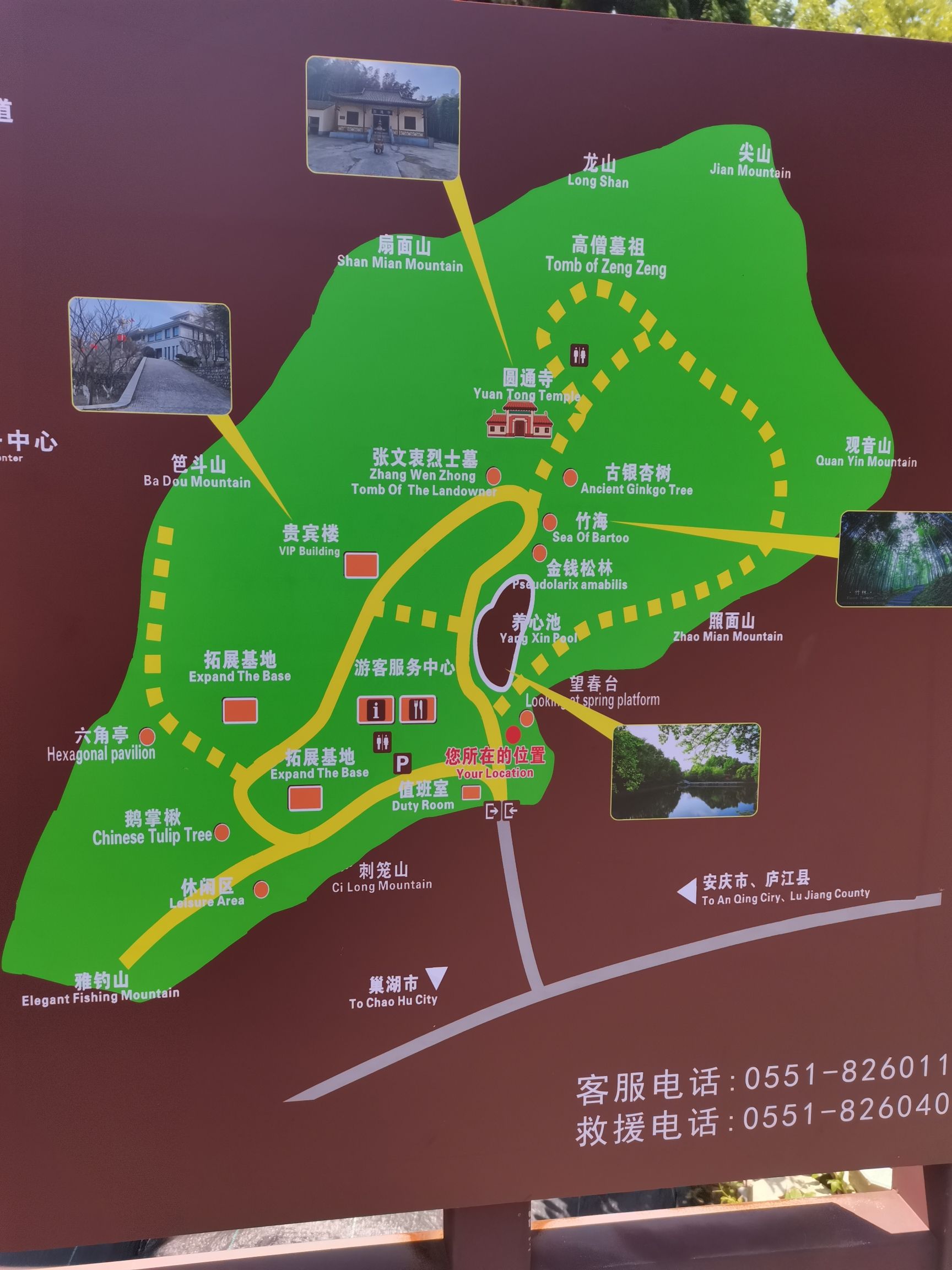 东庵森林公园旅行图片 2