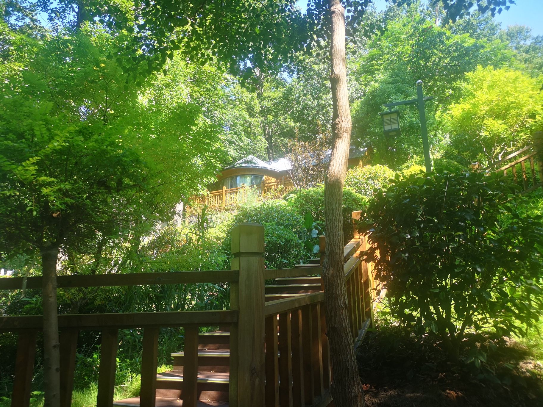 东庵森林公园旅行图片 3