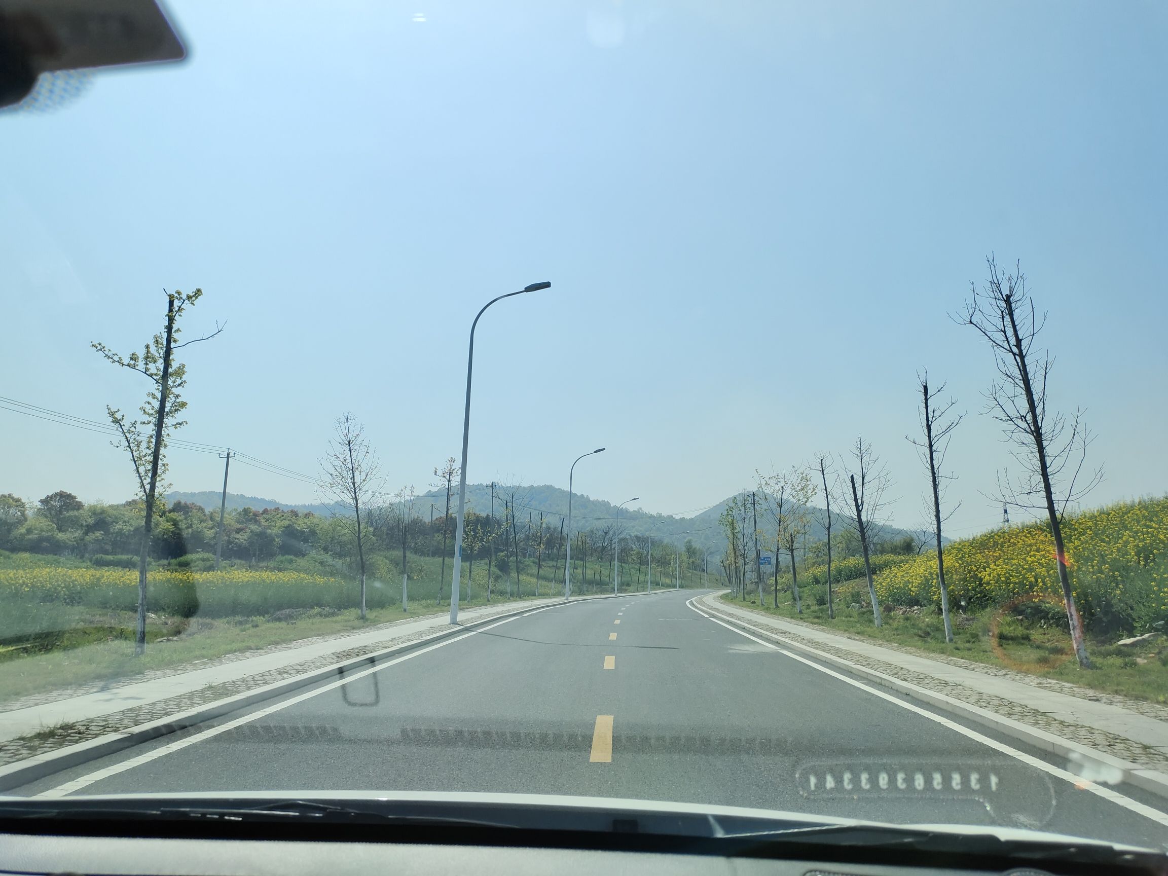 东庵森林公园旅行图片 1