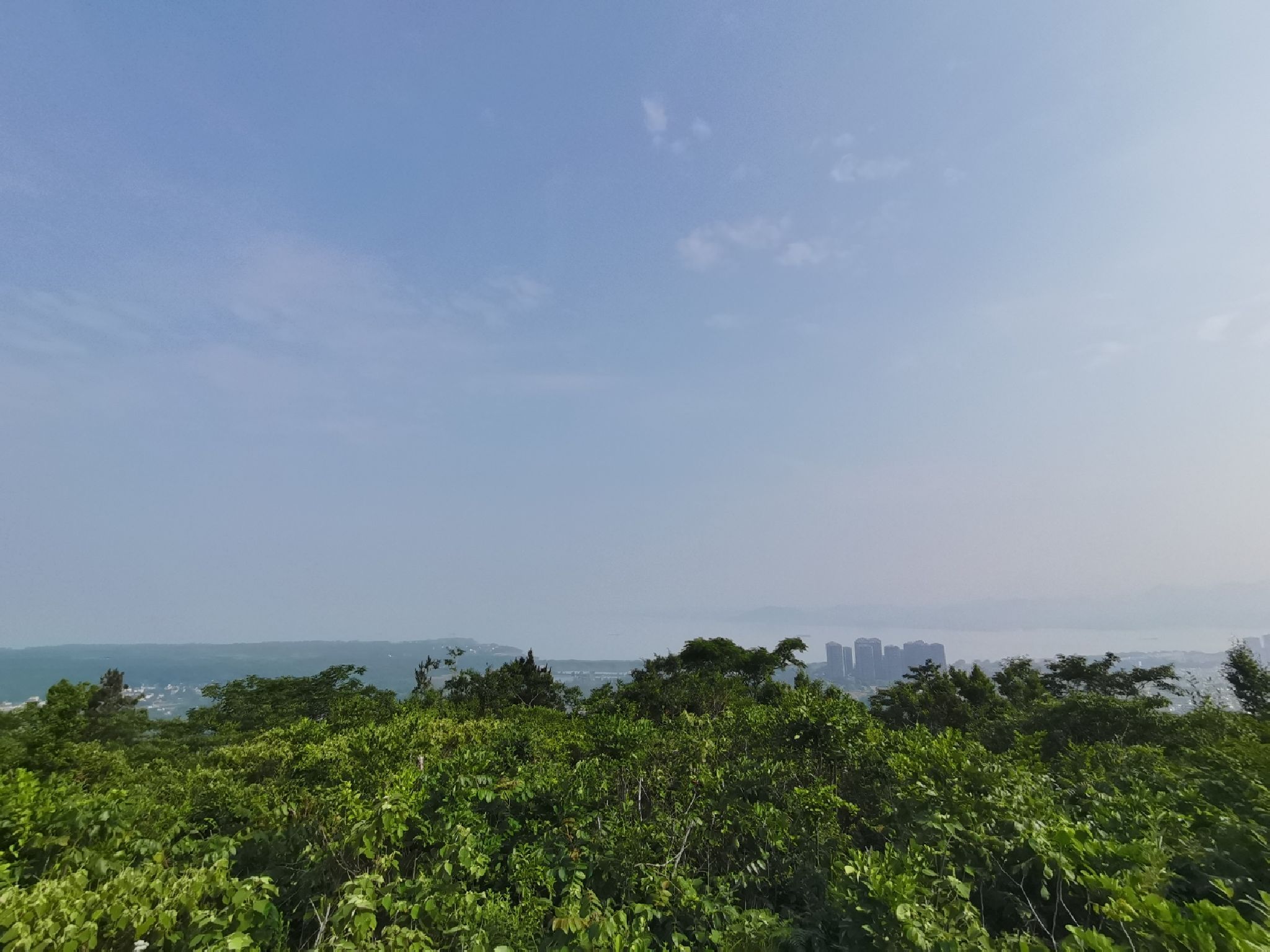东庵森林公园旅行图片 1