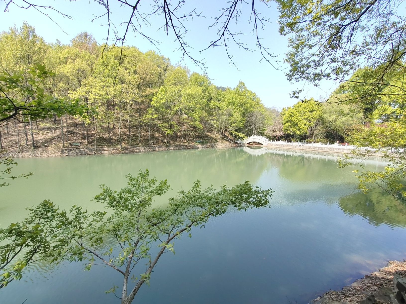 东庵森林公园旅行图片 3