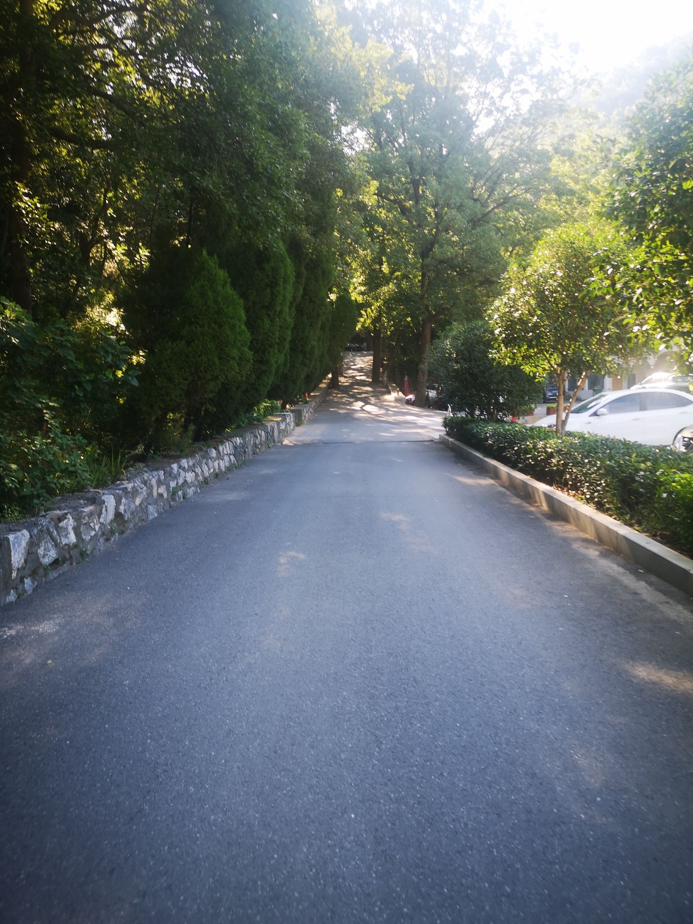 东庵森林公园旅行图片 1
