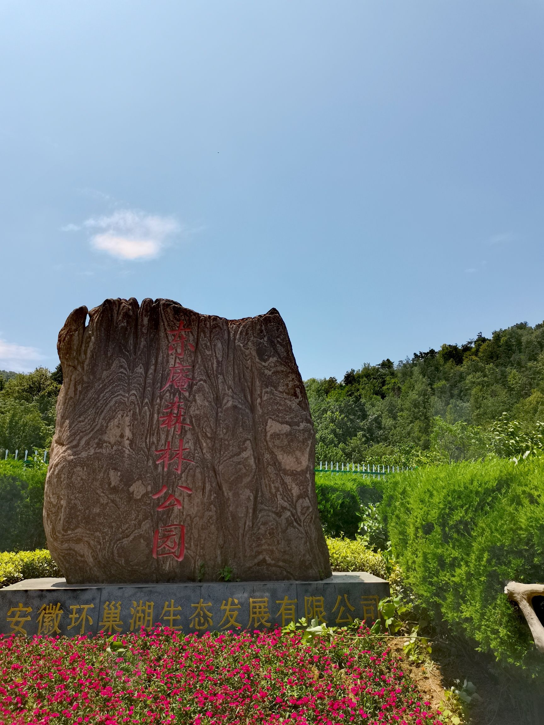 东庵森林公园旅行图片 1