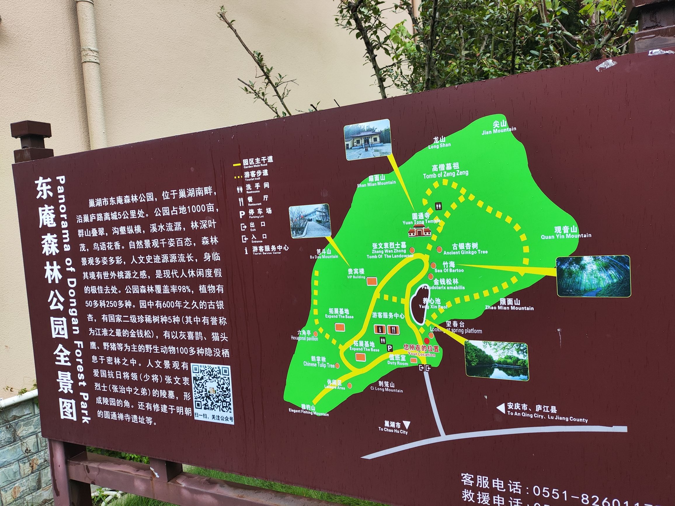 东庵森林公园旅行图片 1