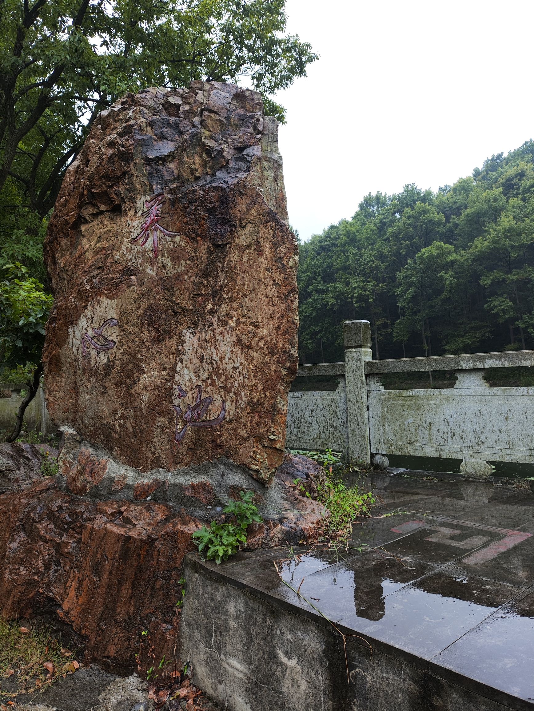 东庵森林公园旅行图片 2