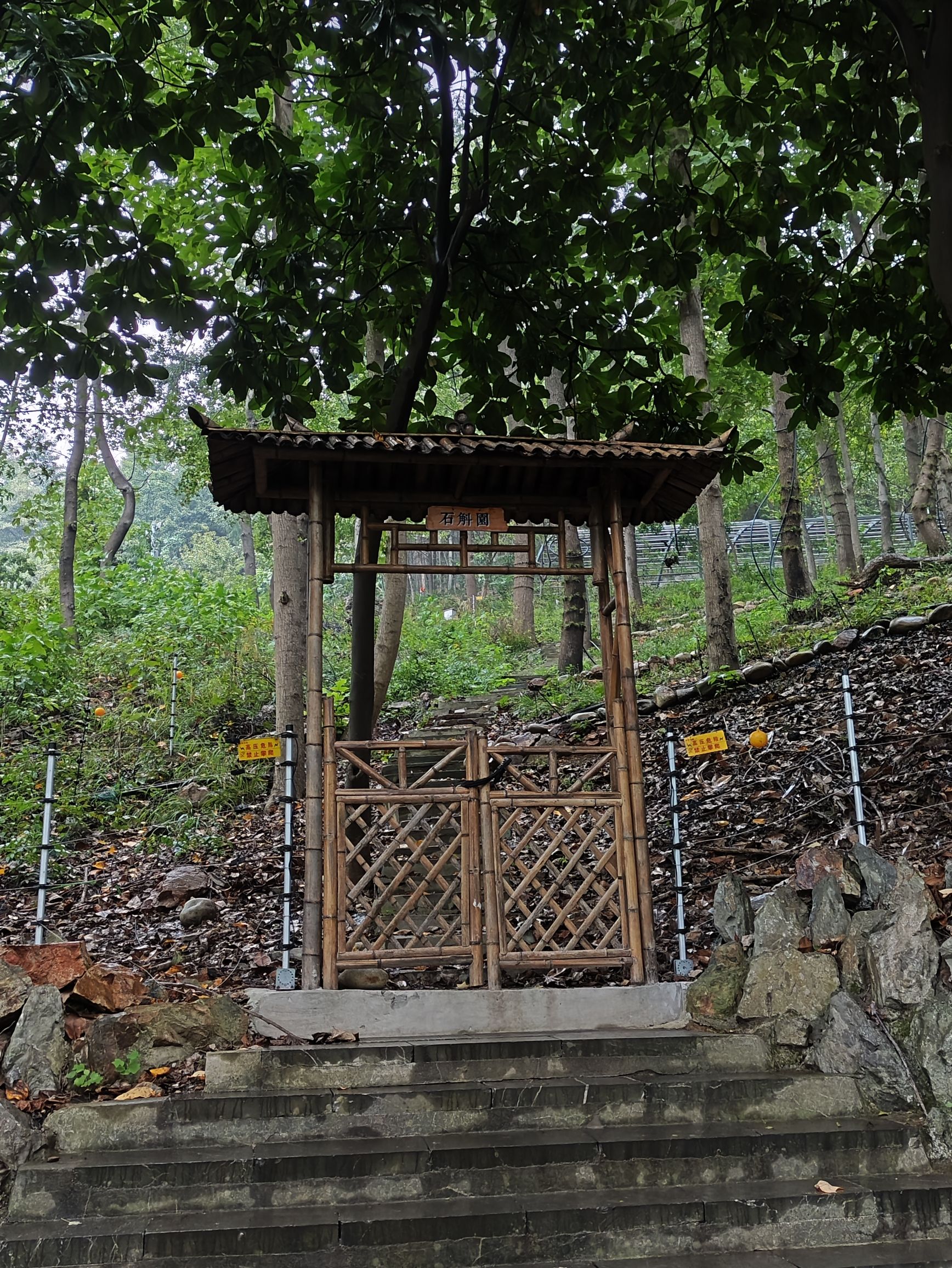 东庵森林公园旅行图片 3