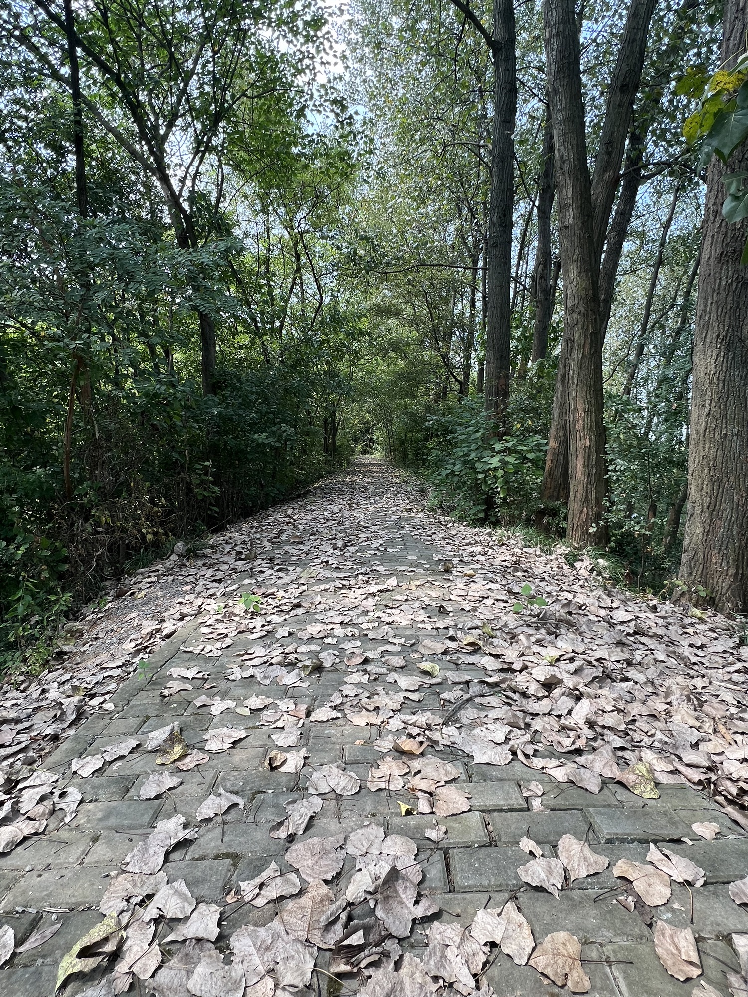 和县猿人遗址旅行图片 3