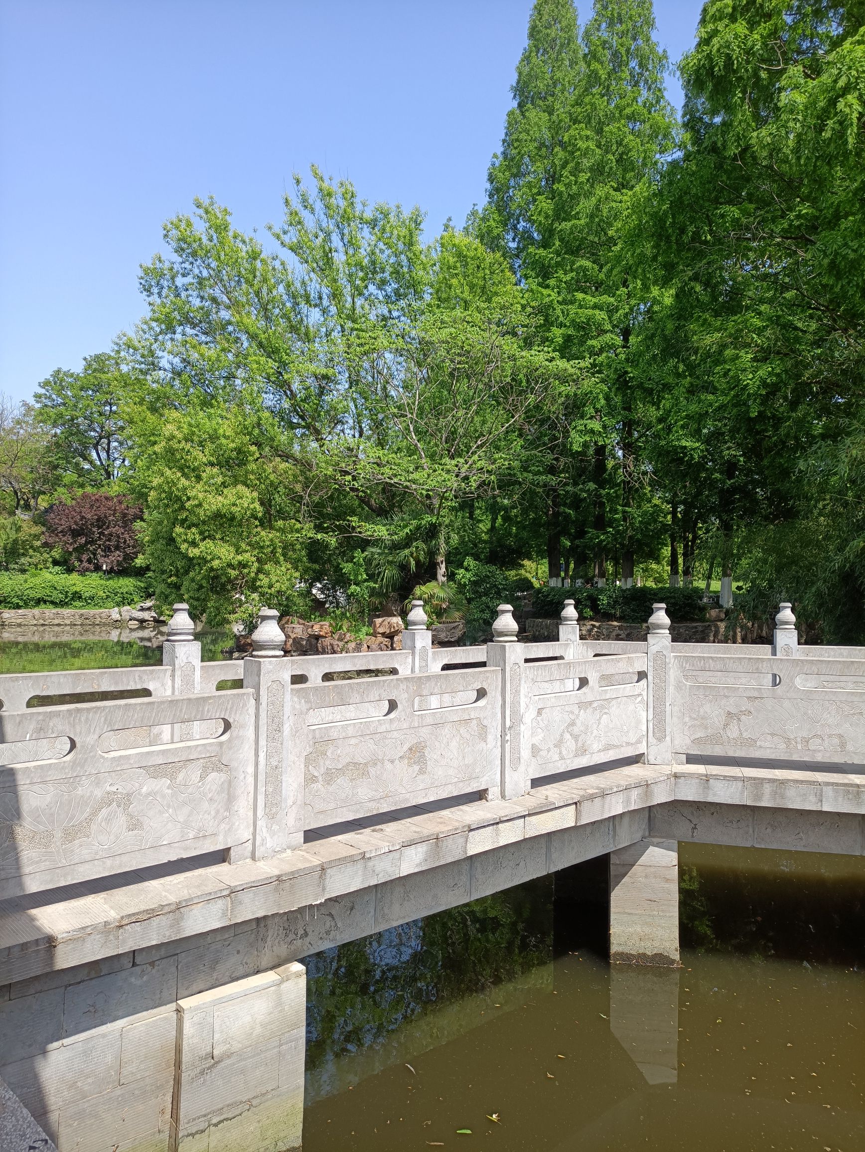 环碧公园旅行图片 2