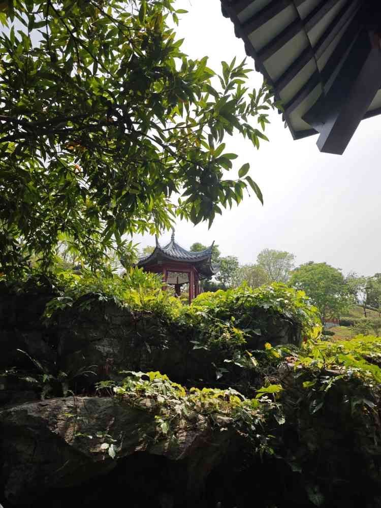 玉龙公园旅行图片 3