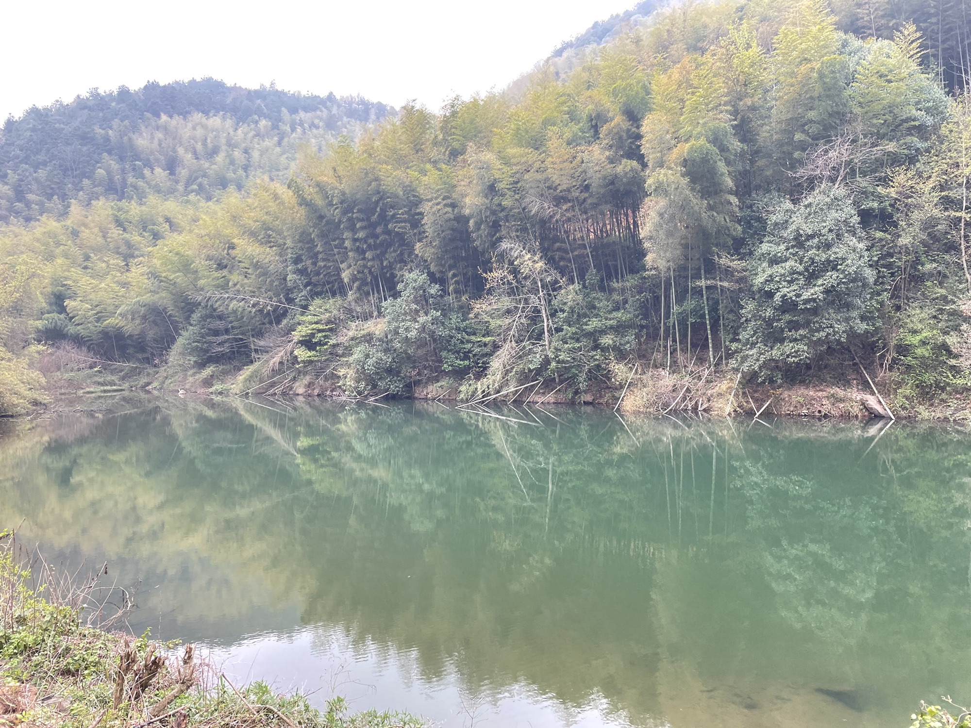 万年台风景区旅行图片 2
