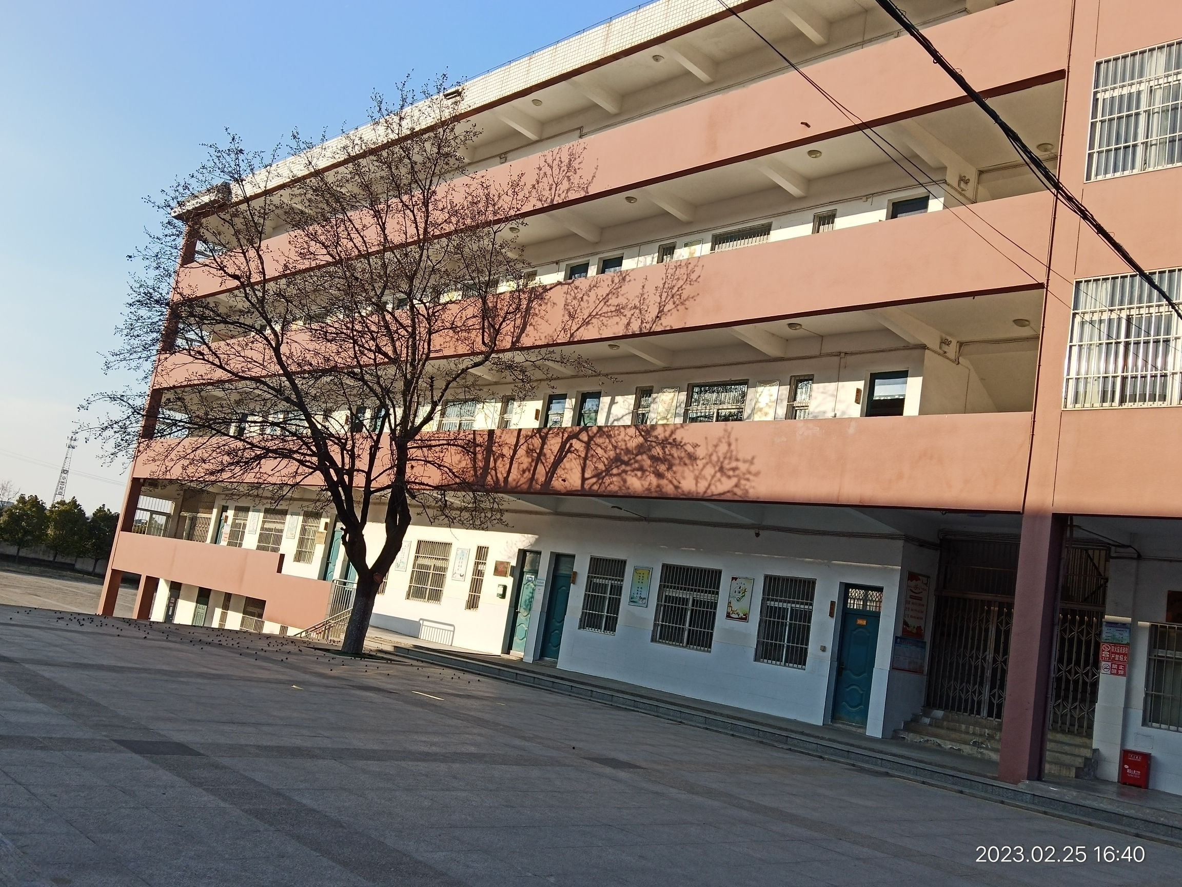 巢湖市银屏中学