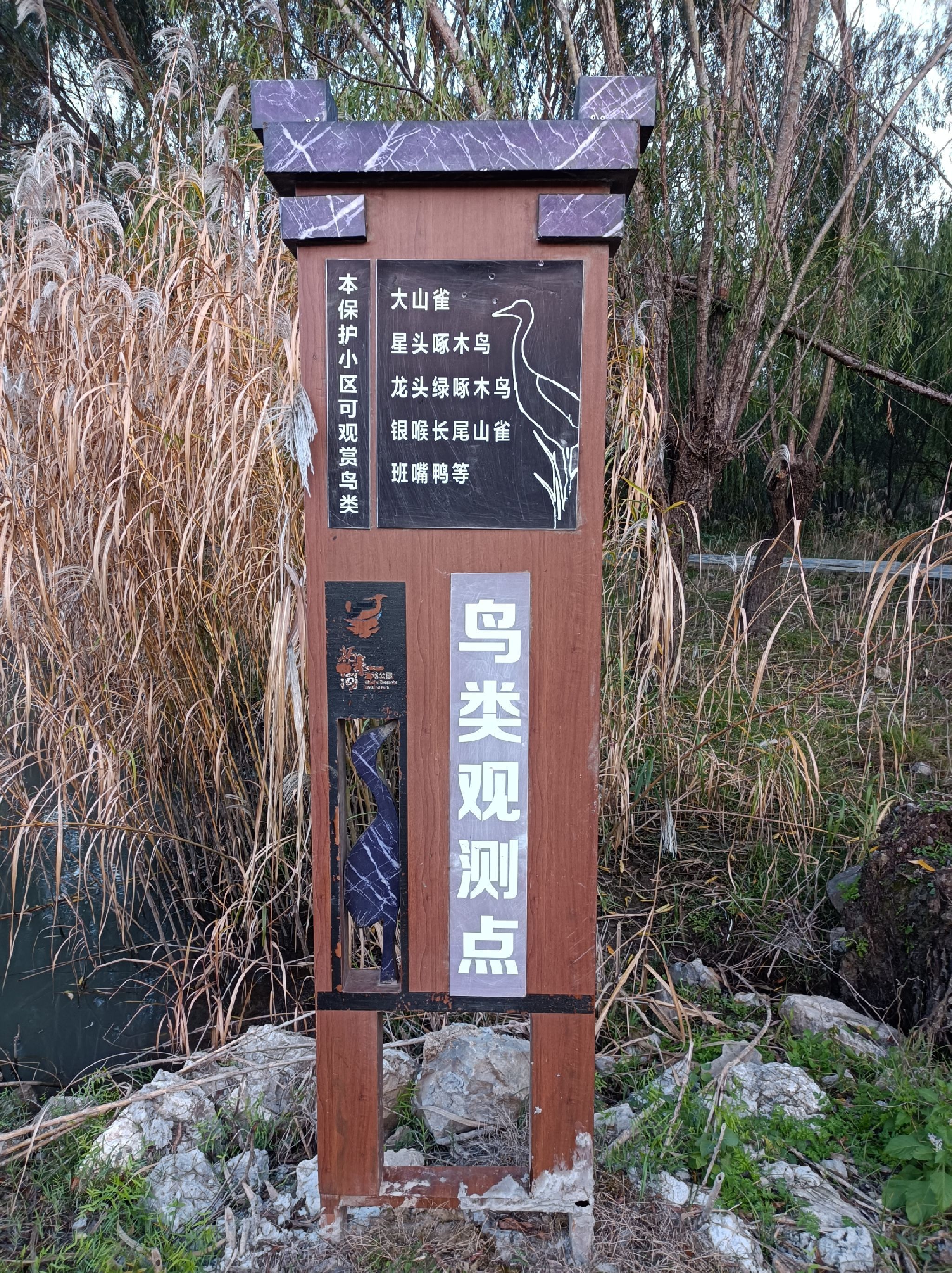 巢湖湿地旅行图片 2