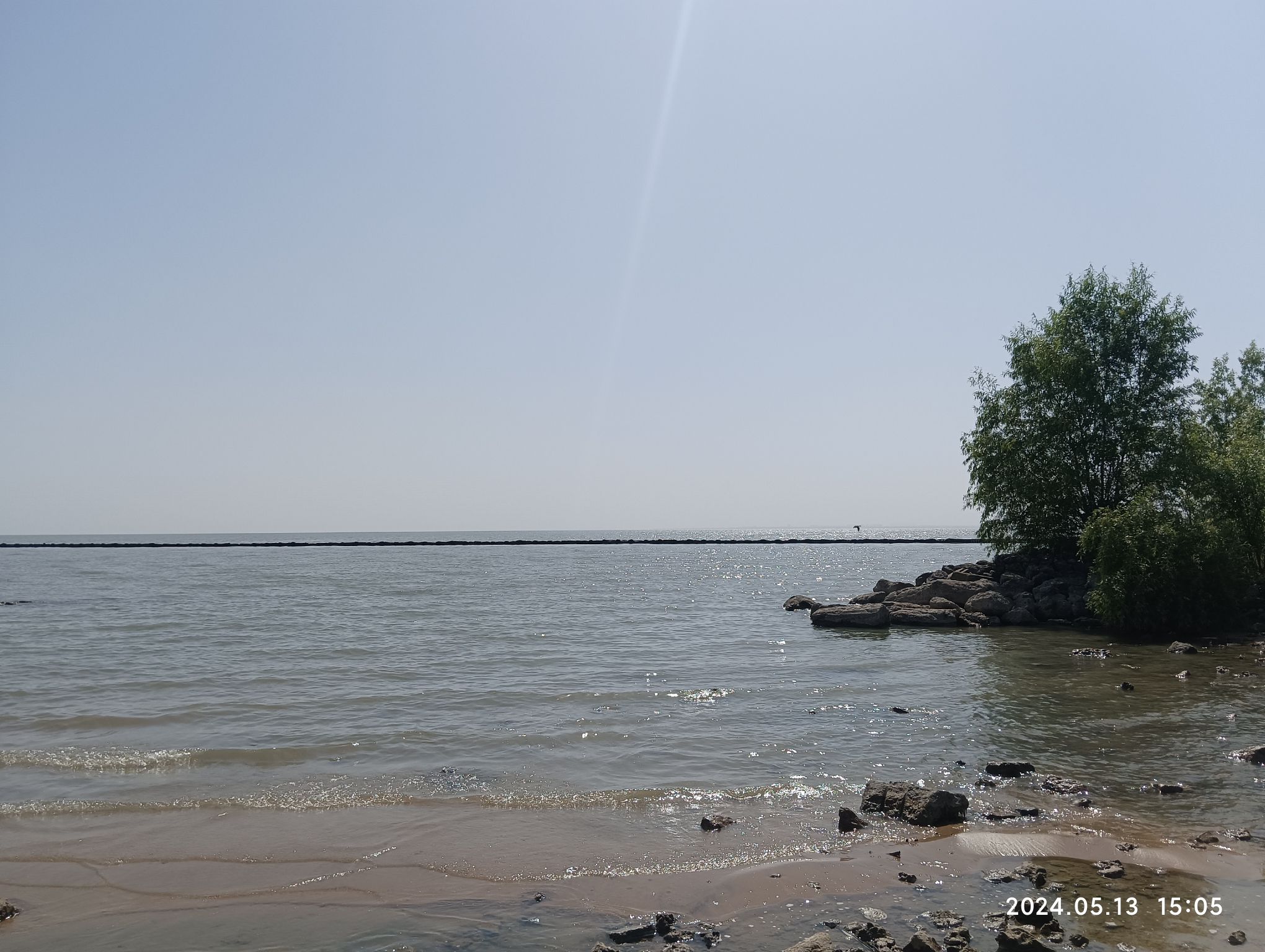 巢湖湿地旅行图片 3