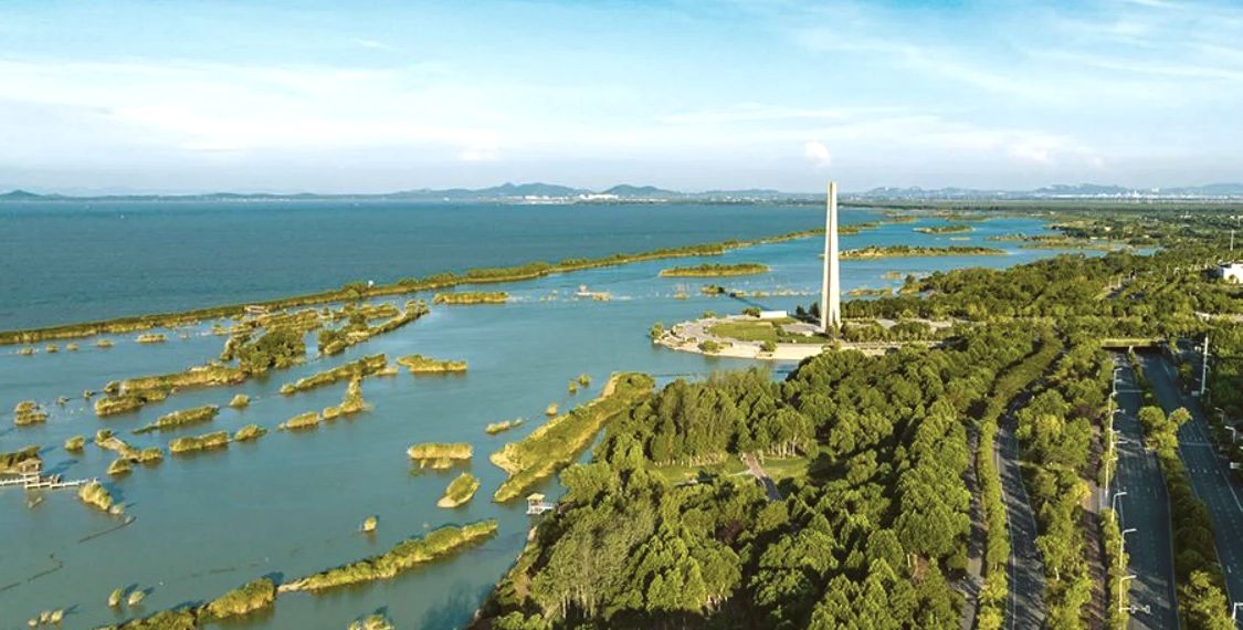 巢湖湿地旅行图片 1