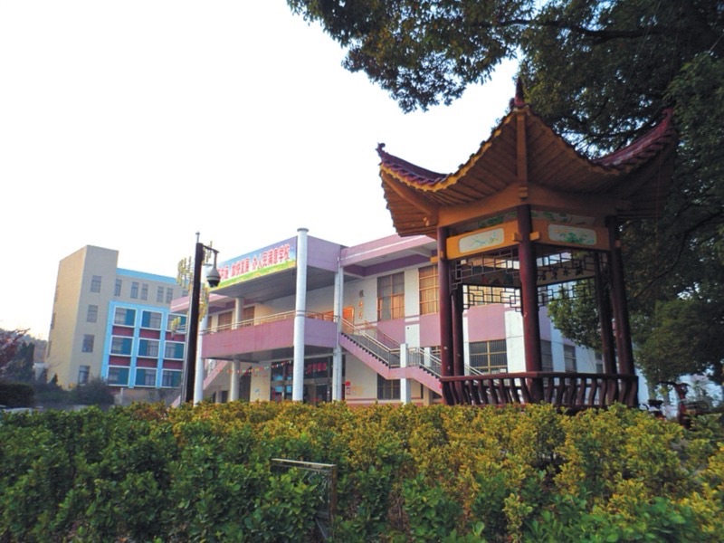 巢湖市槐林中学