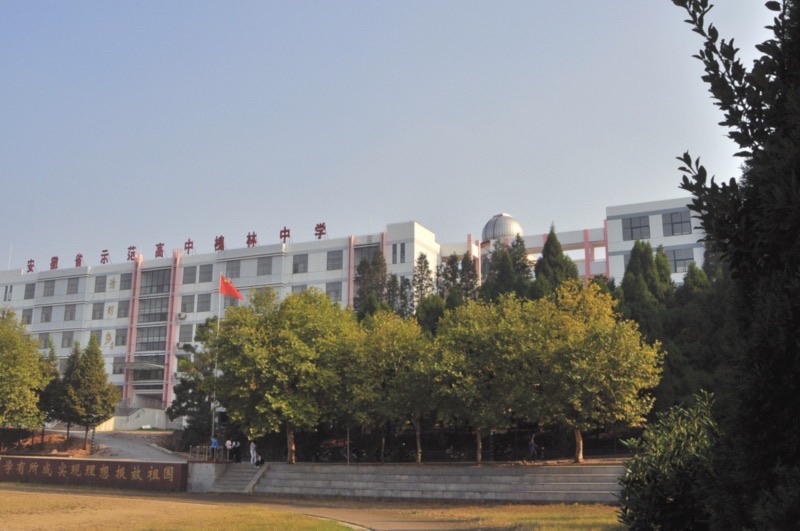 巢湖市槐林中学