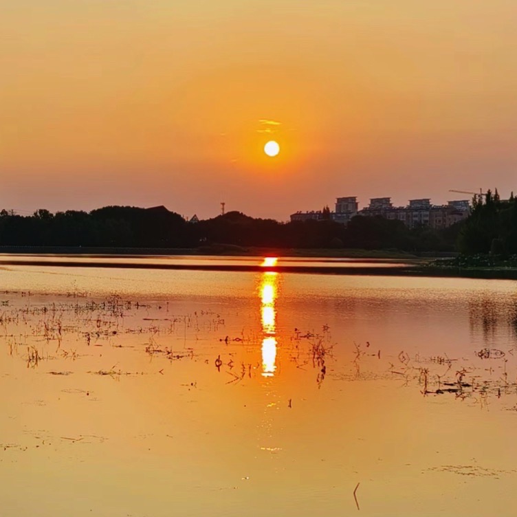 无为植物园旅行图片 1