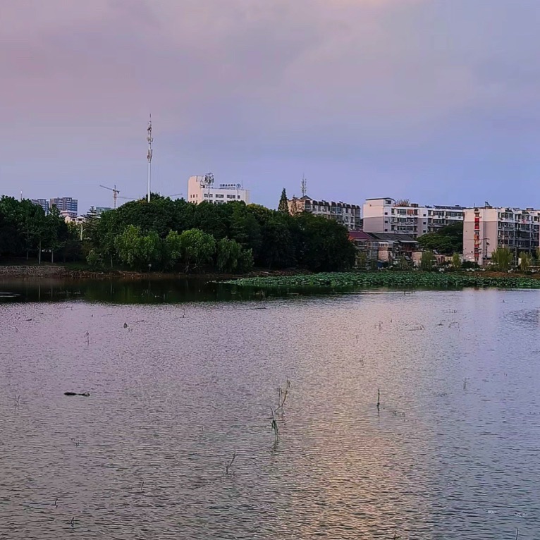 无为植物园旅行图片 2