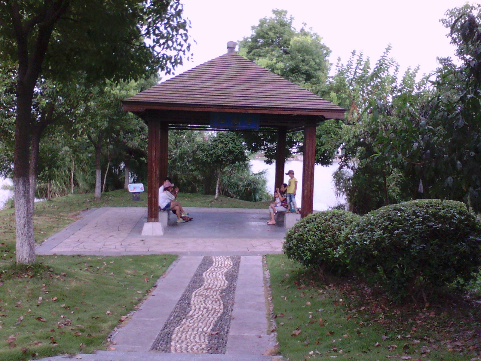 无为植物园旅行图片 3