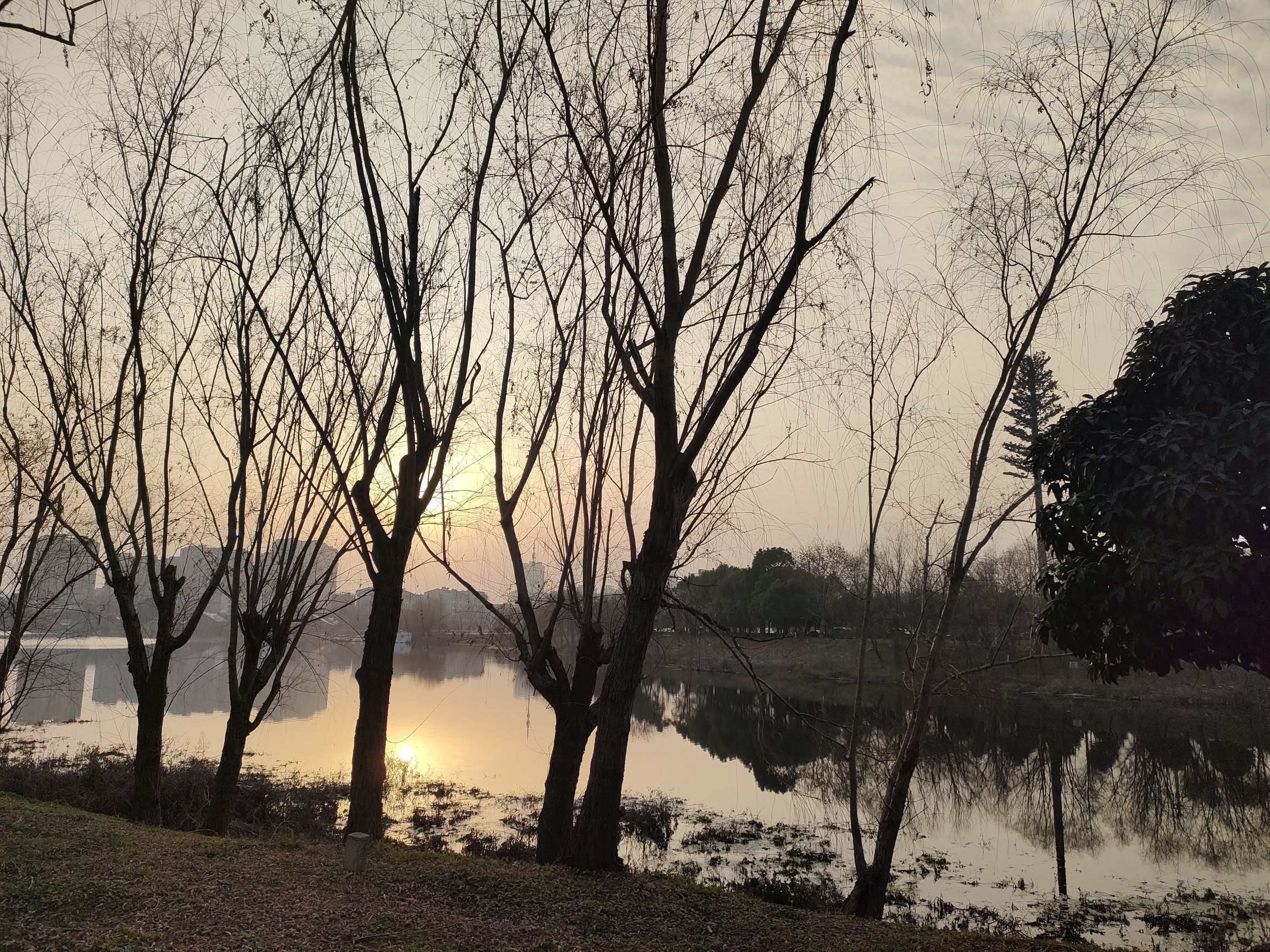无为植物园旅行图片 1