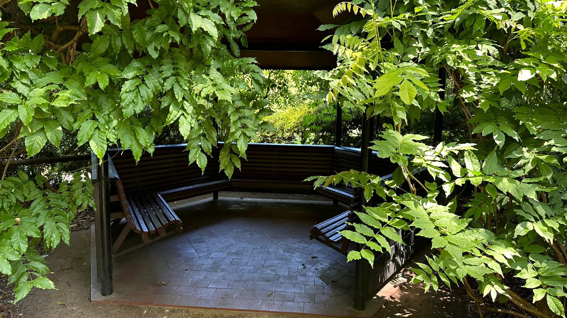 无为植物园旅行图片 2