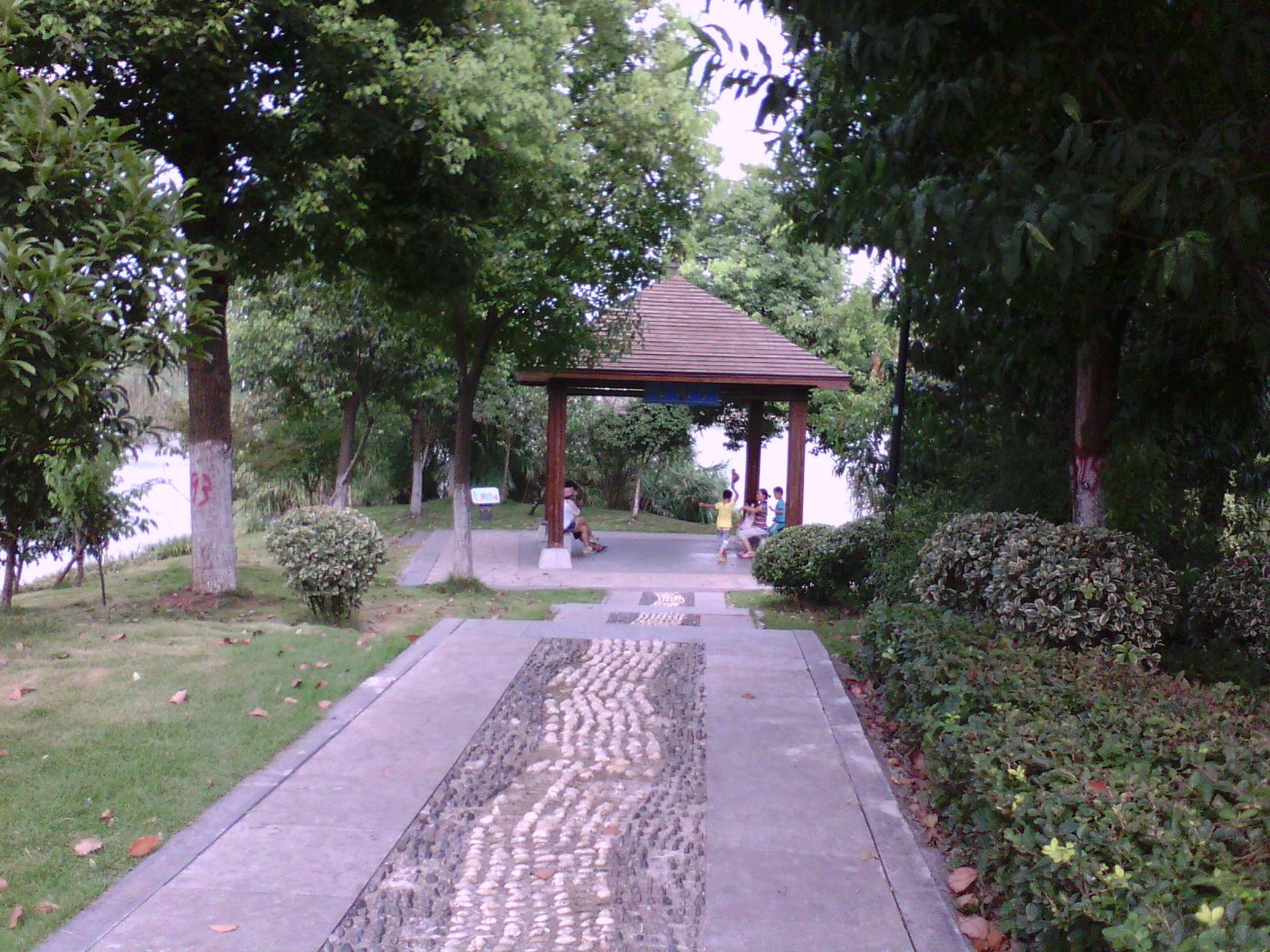 无为植物园旅行图片 2