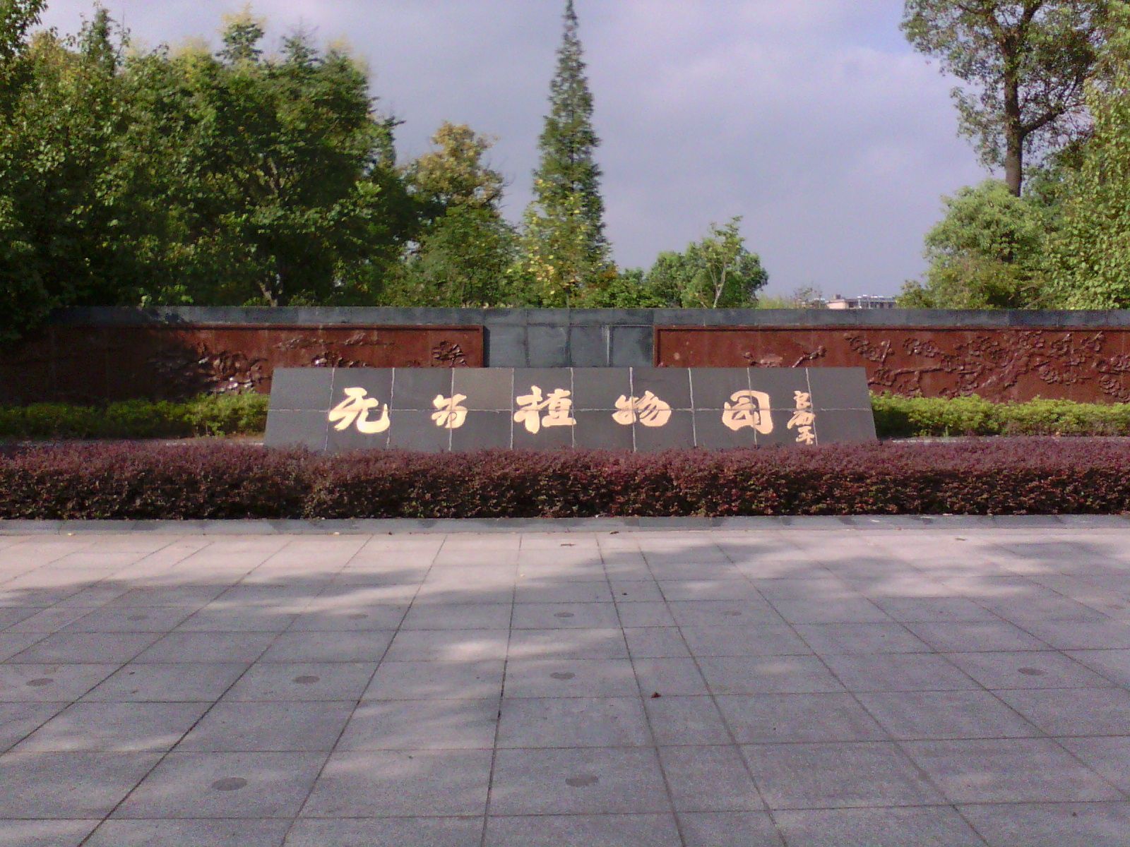无为植物园旅行图片 1